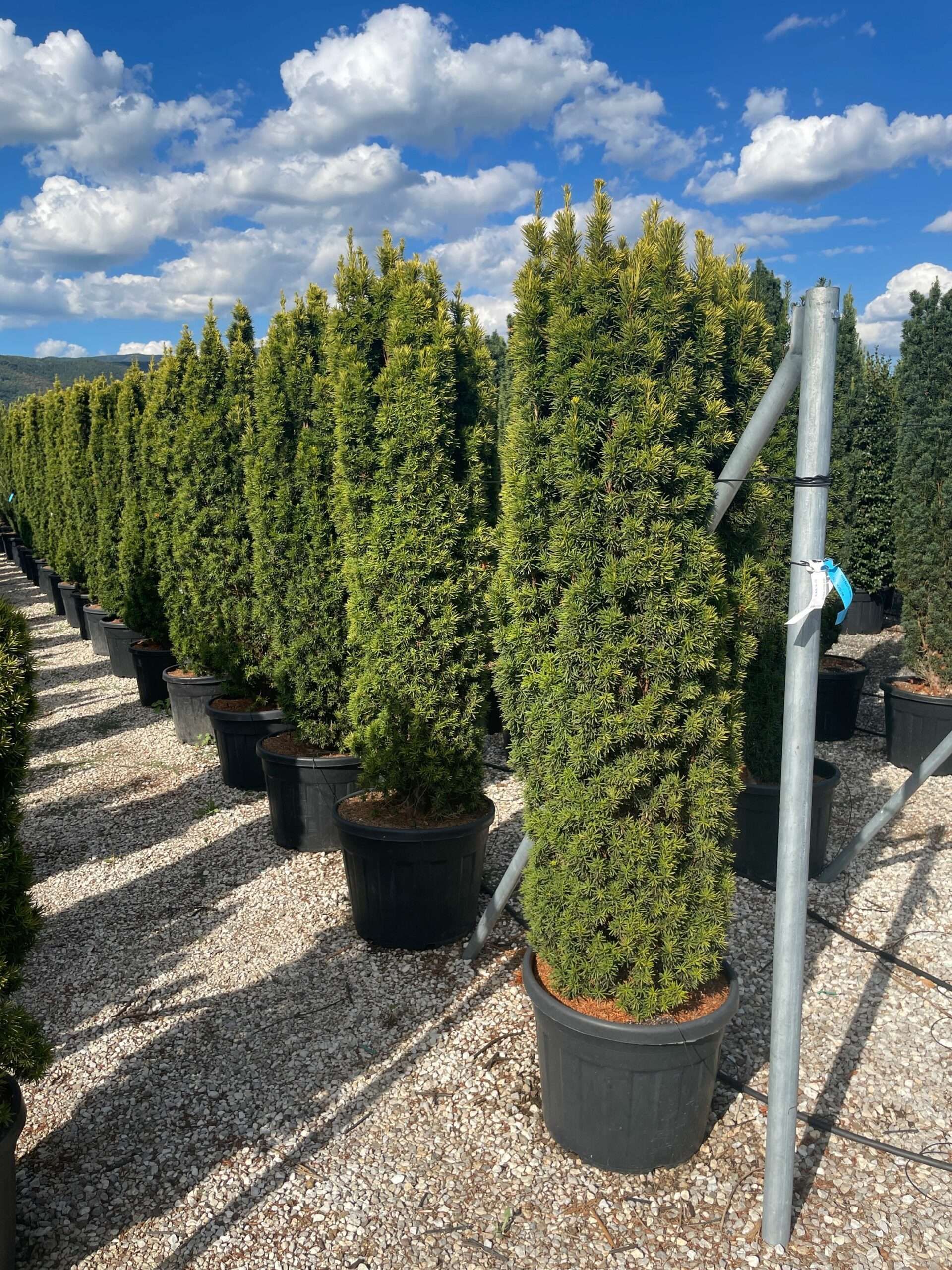 1630593048 scaled 30c57e37