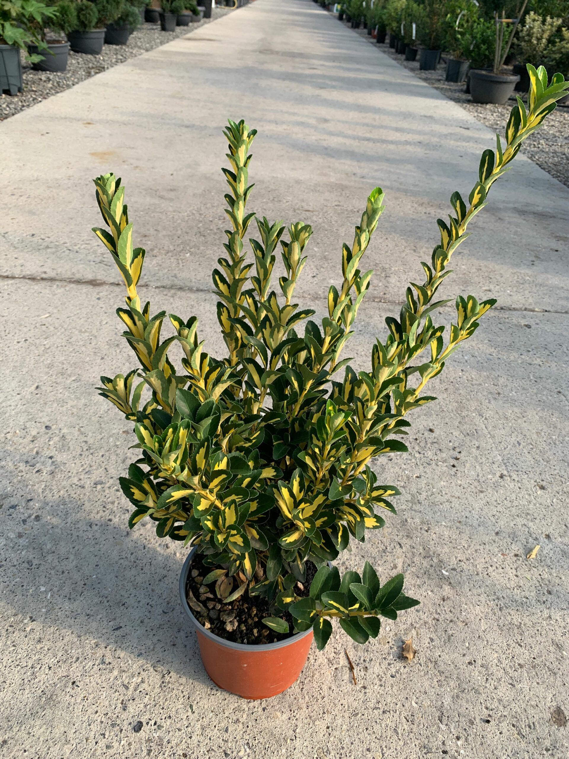 1632815205 scaled 30853f90