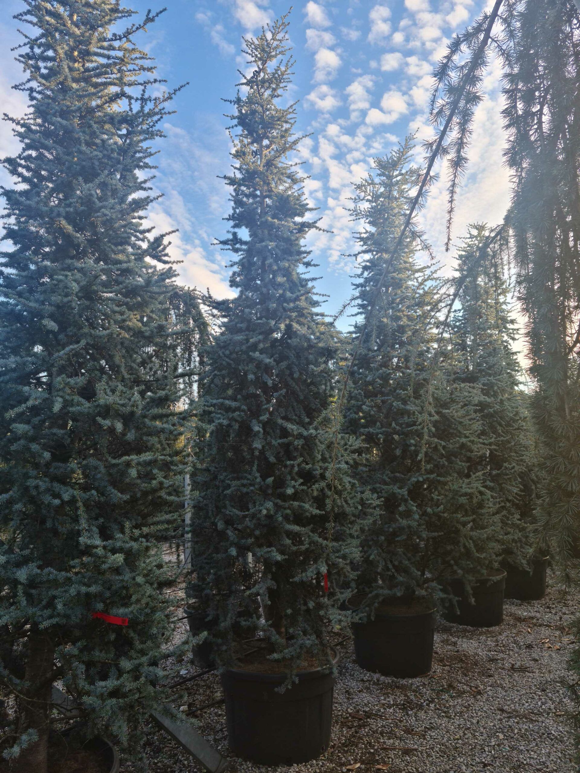 1639405748 scaled 30f51583