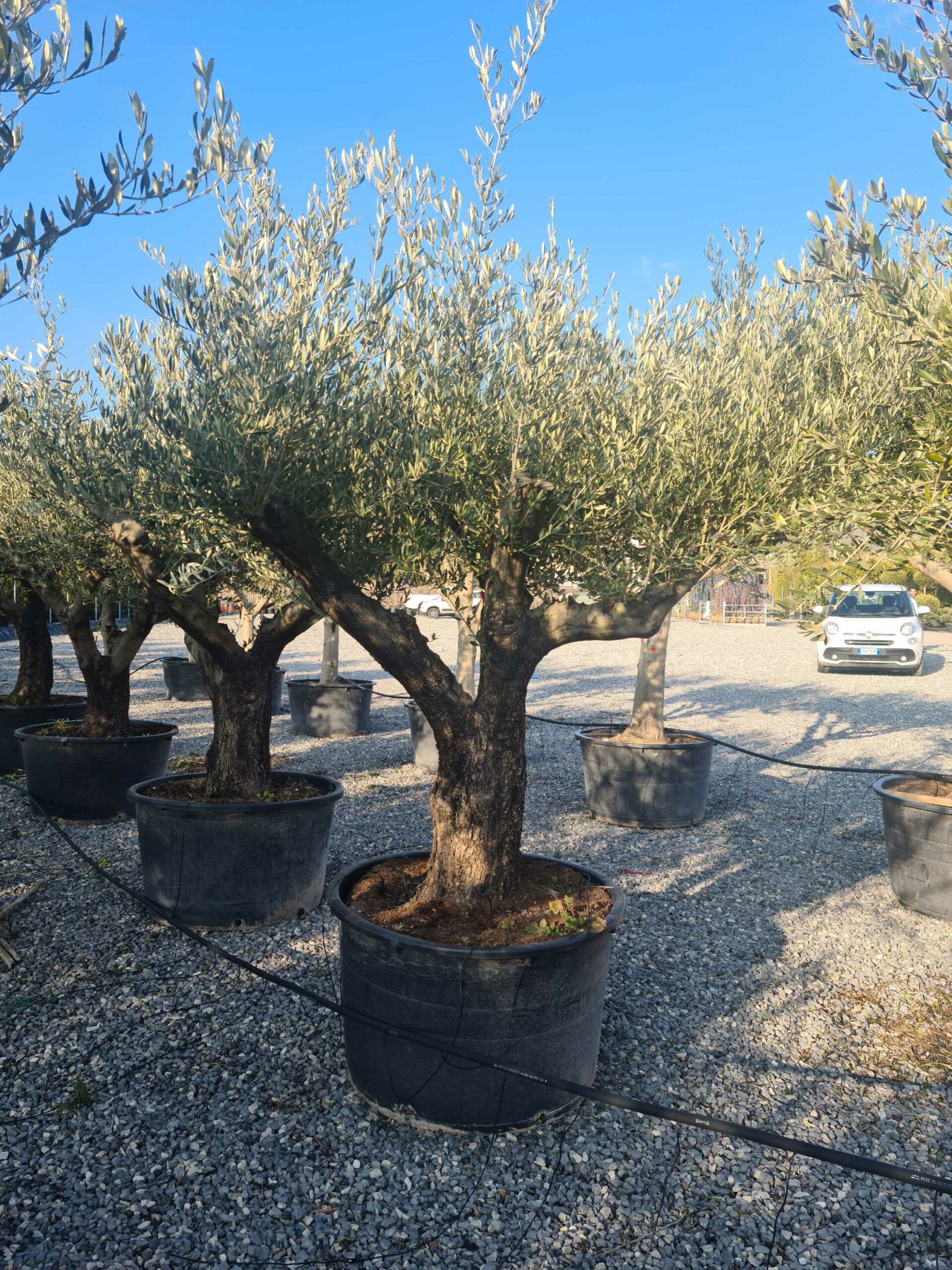 1642772881 scaled 3051f85d