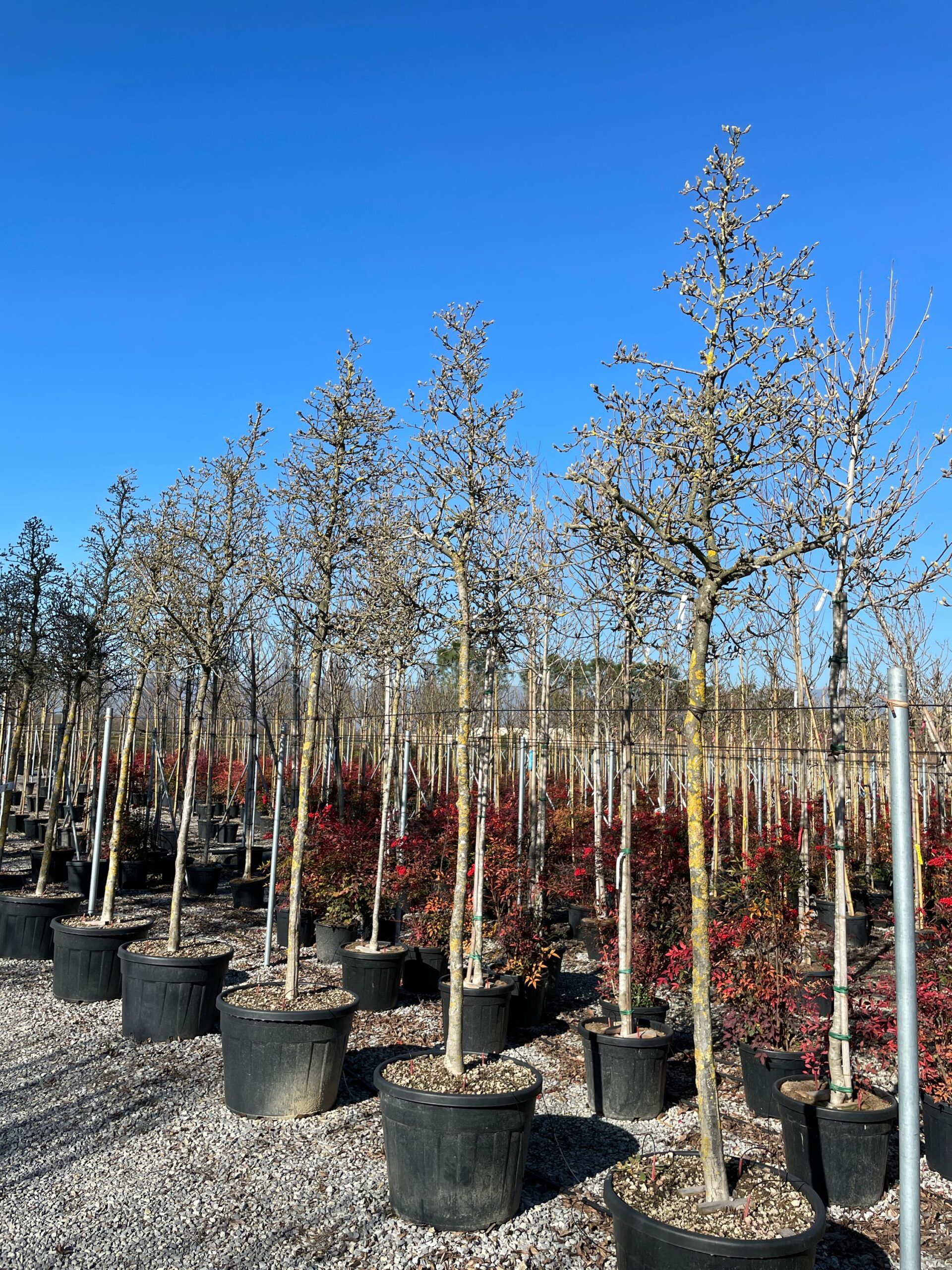 1643799115 scaled 30c6bcc9