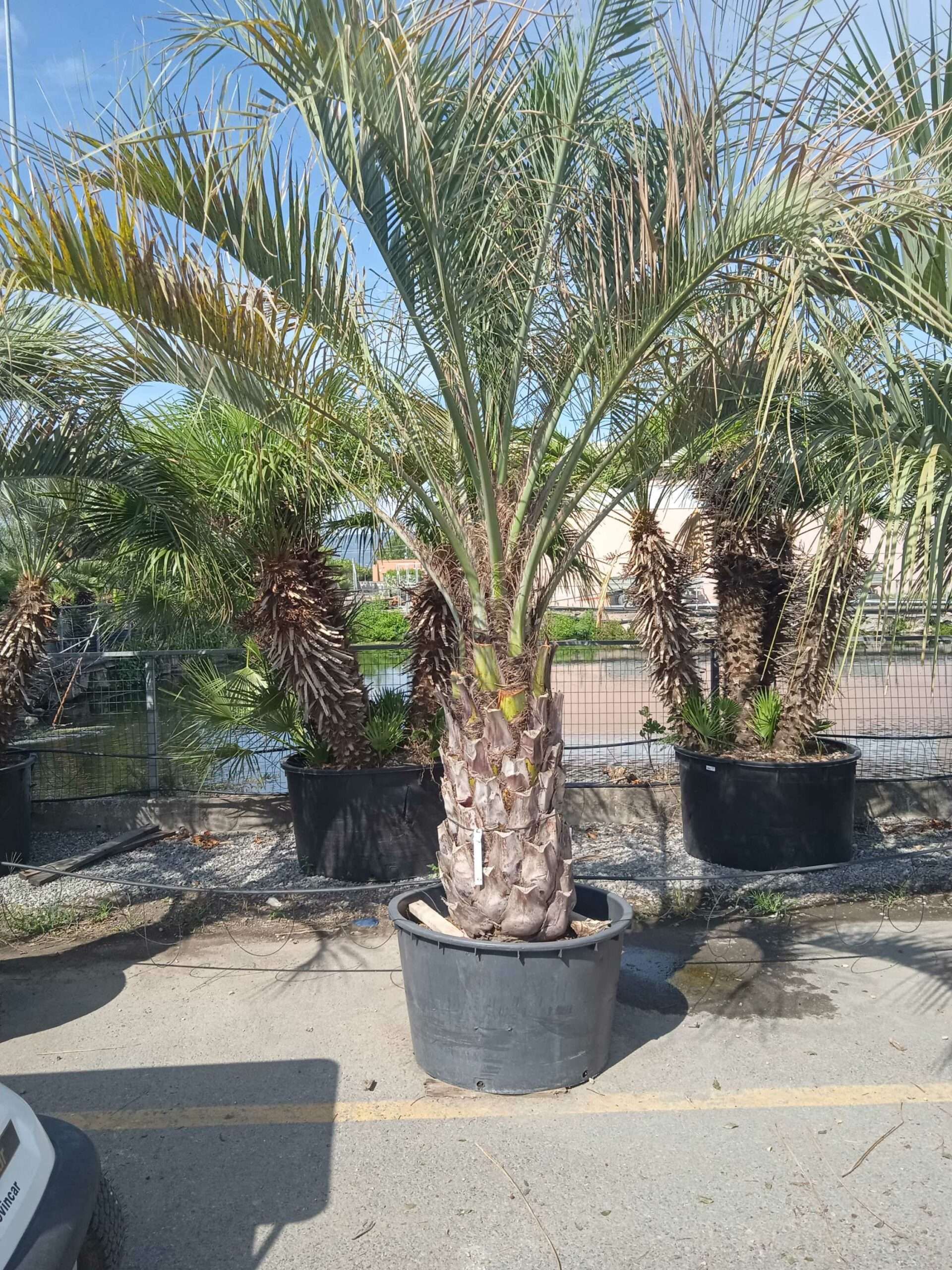 1662022978 scaled 30d93986