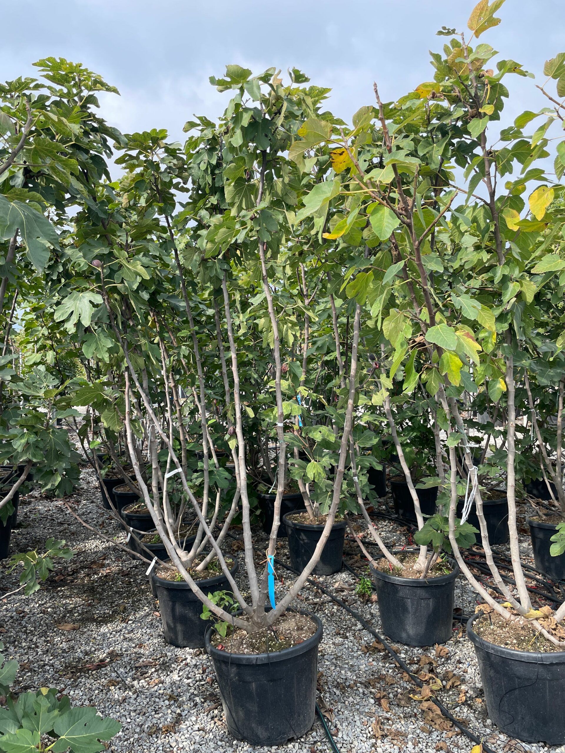 1666347522 scaled 303eb399