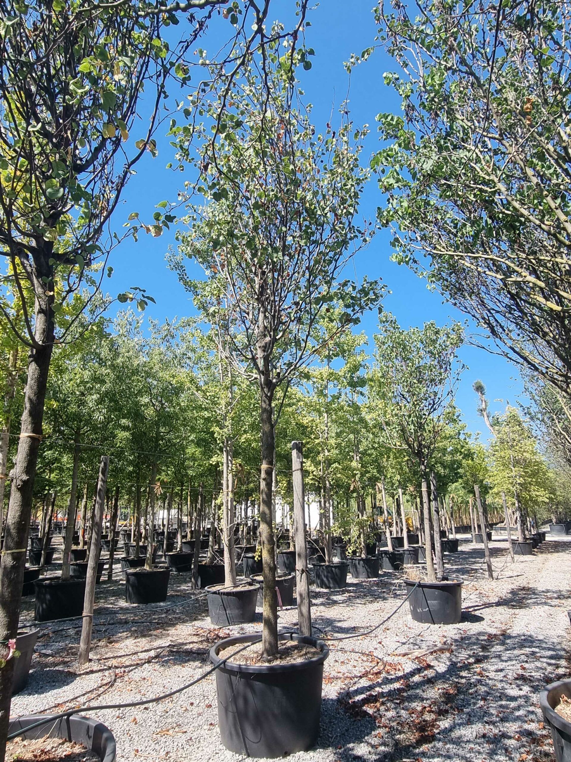 1692709845 scaled 308bc0f3