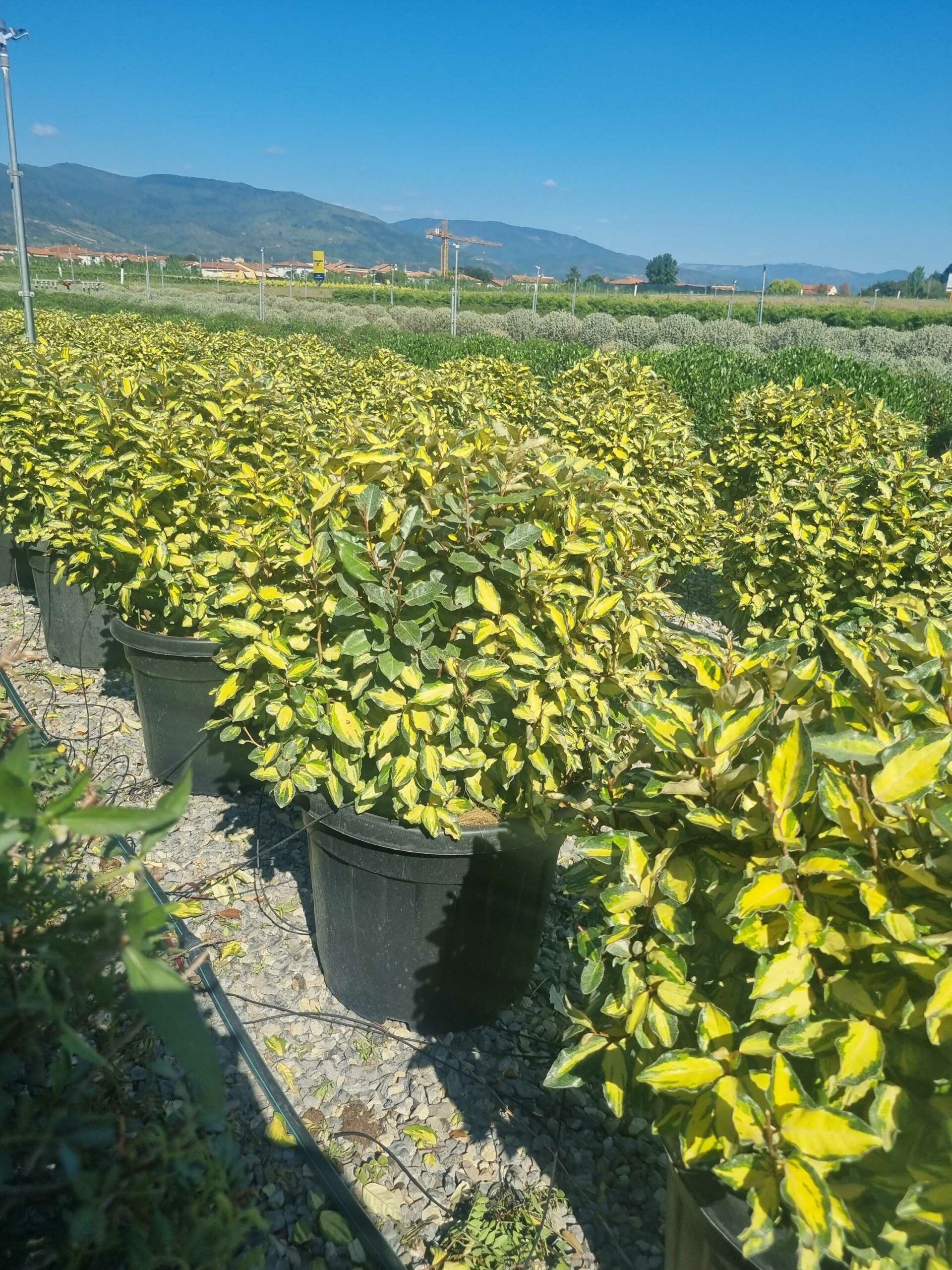 1694093507 scaled 30f3ecd6