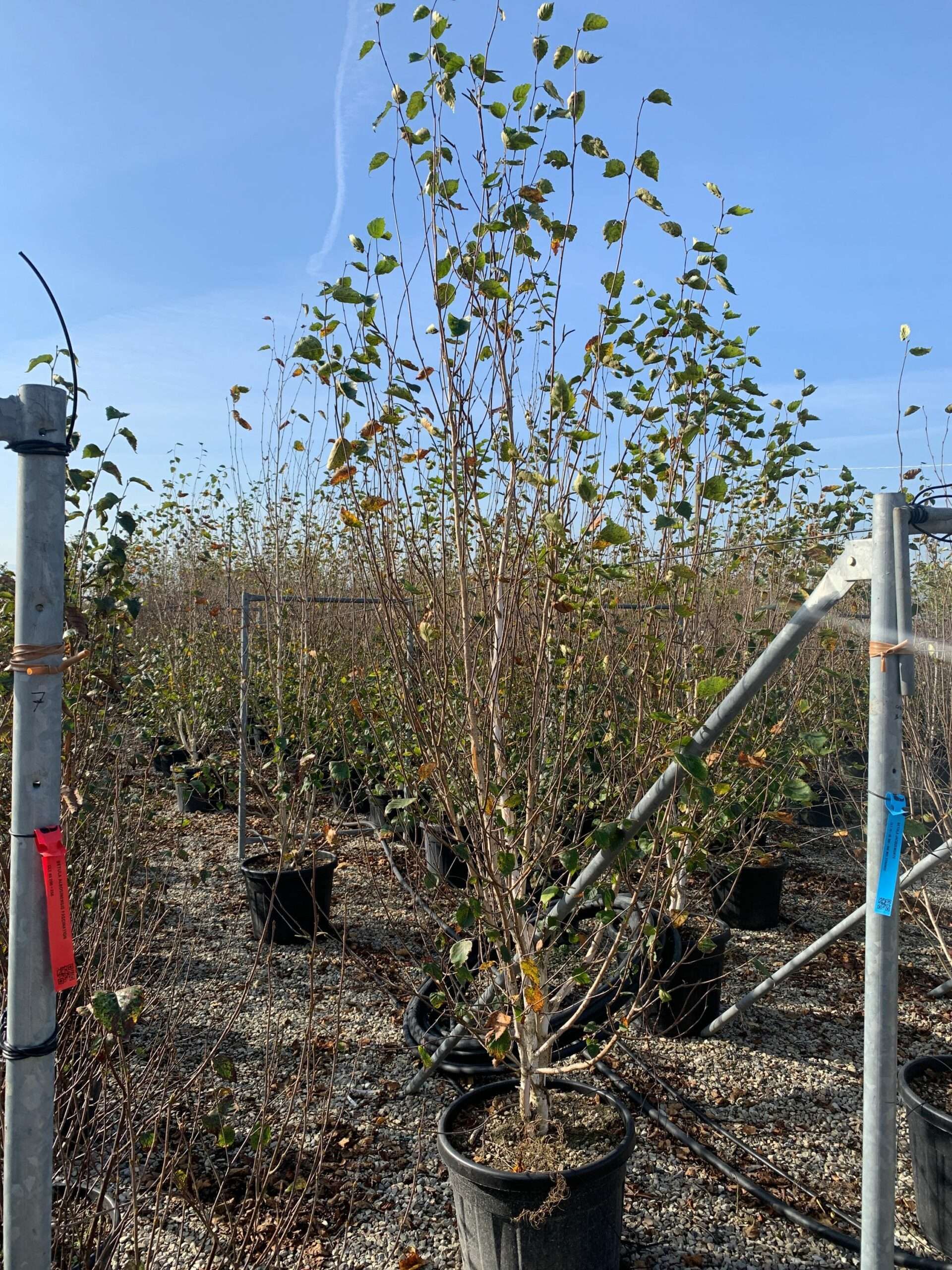 1635496480 scaled 31f53ae2