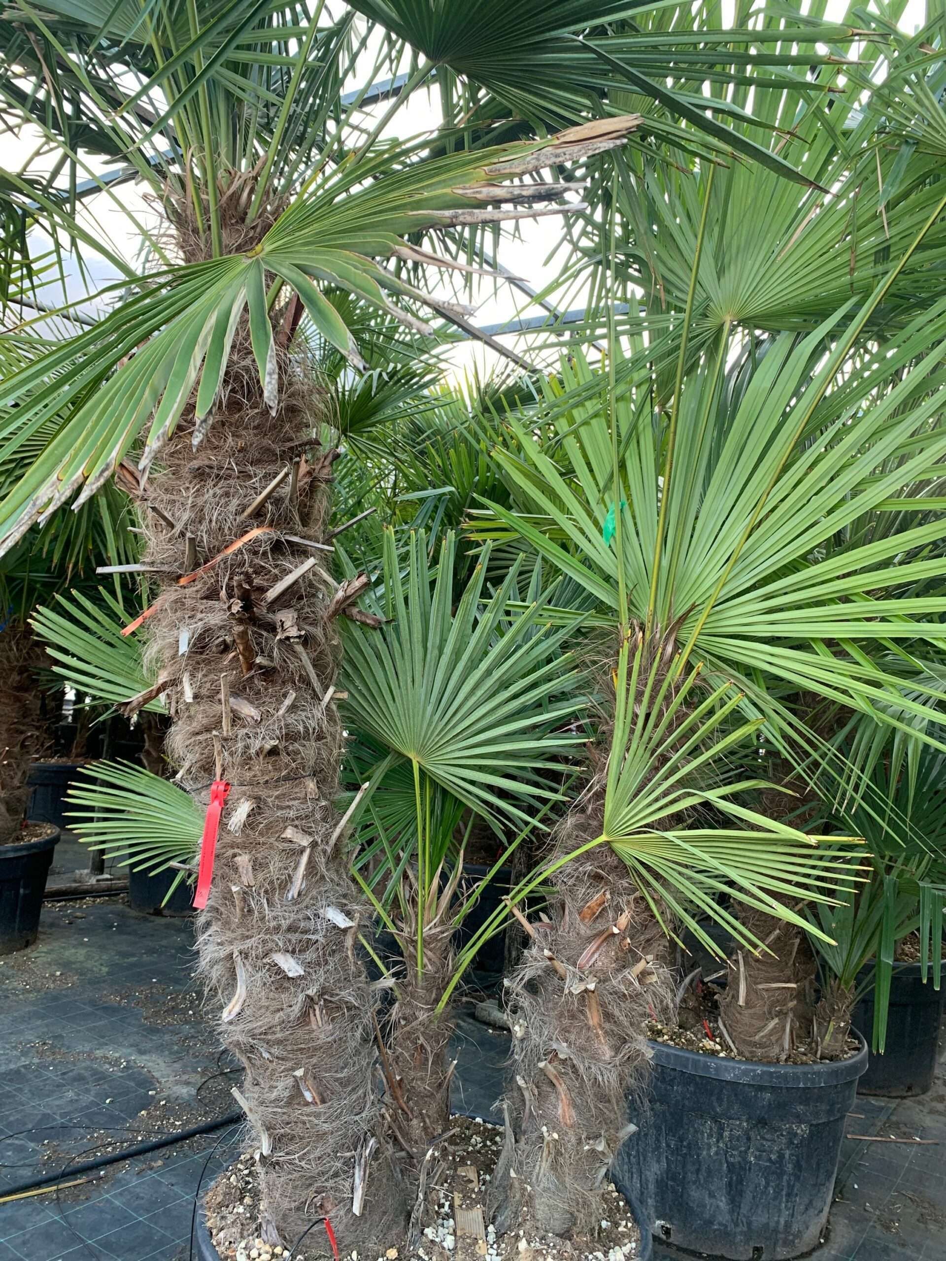 1636556018 scaled 31e096eb