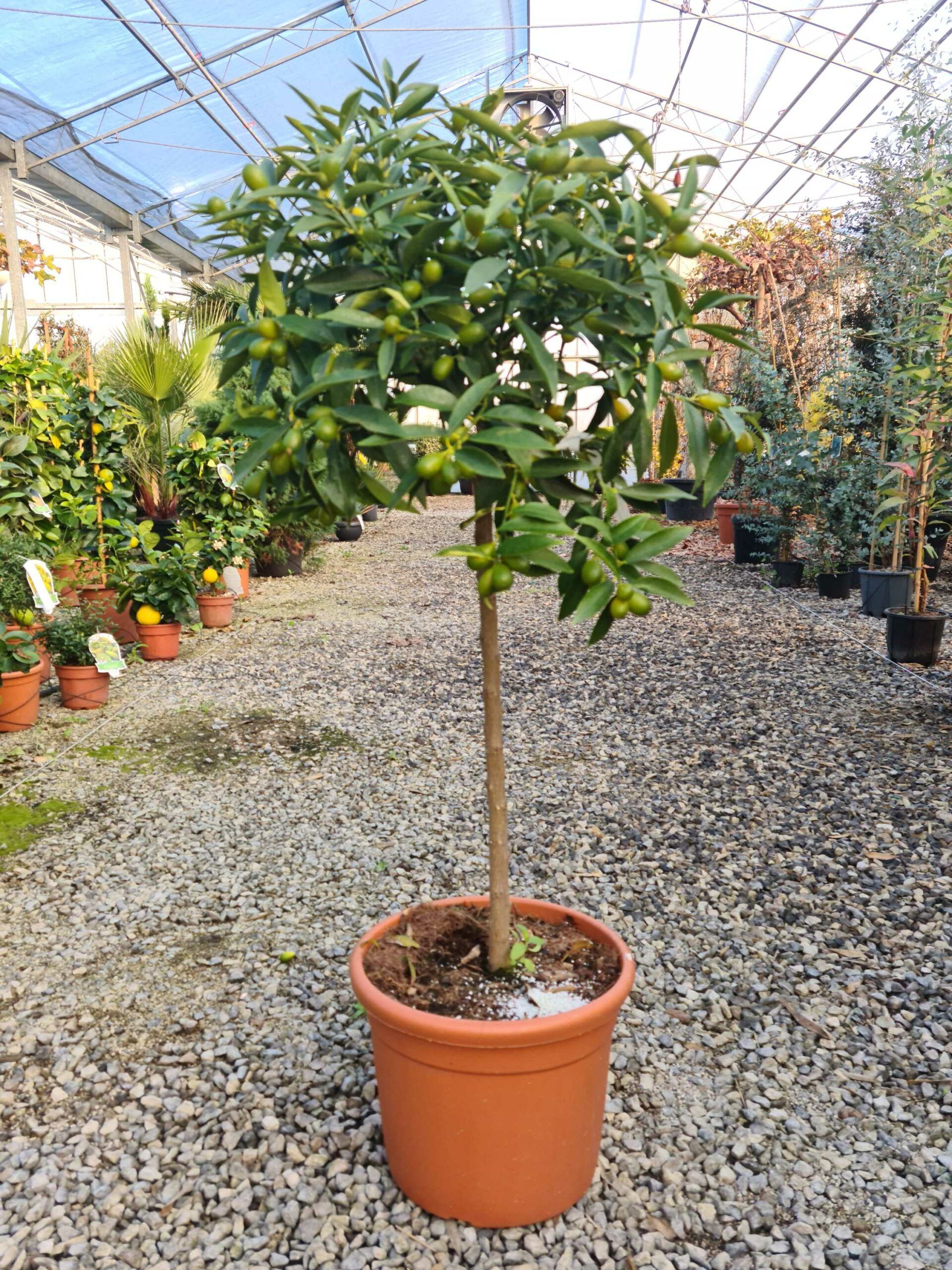 1639471396 scaled 31aa3c2a