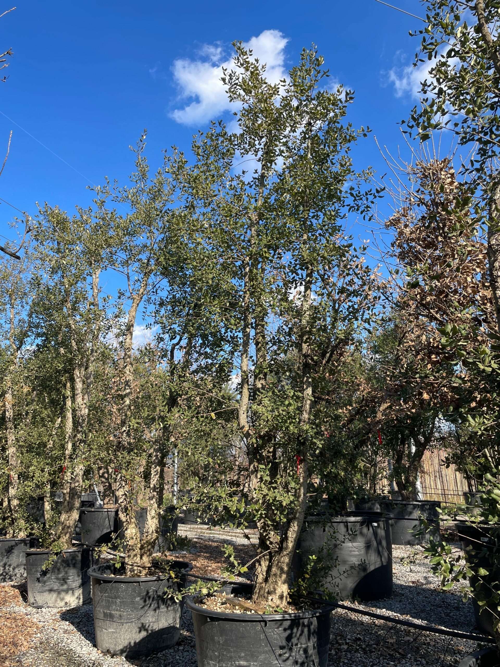 1644241310 scaled 319cf86c