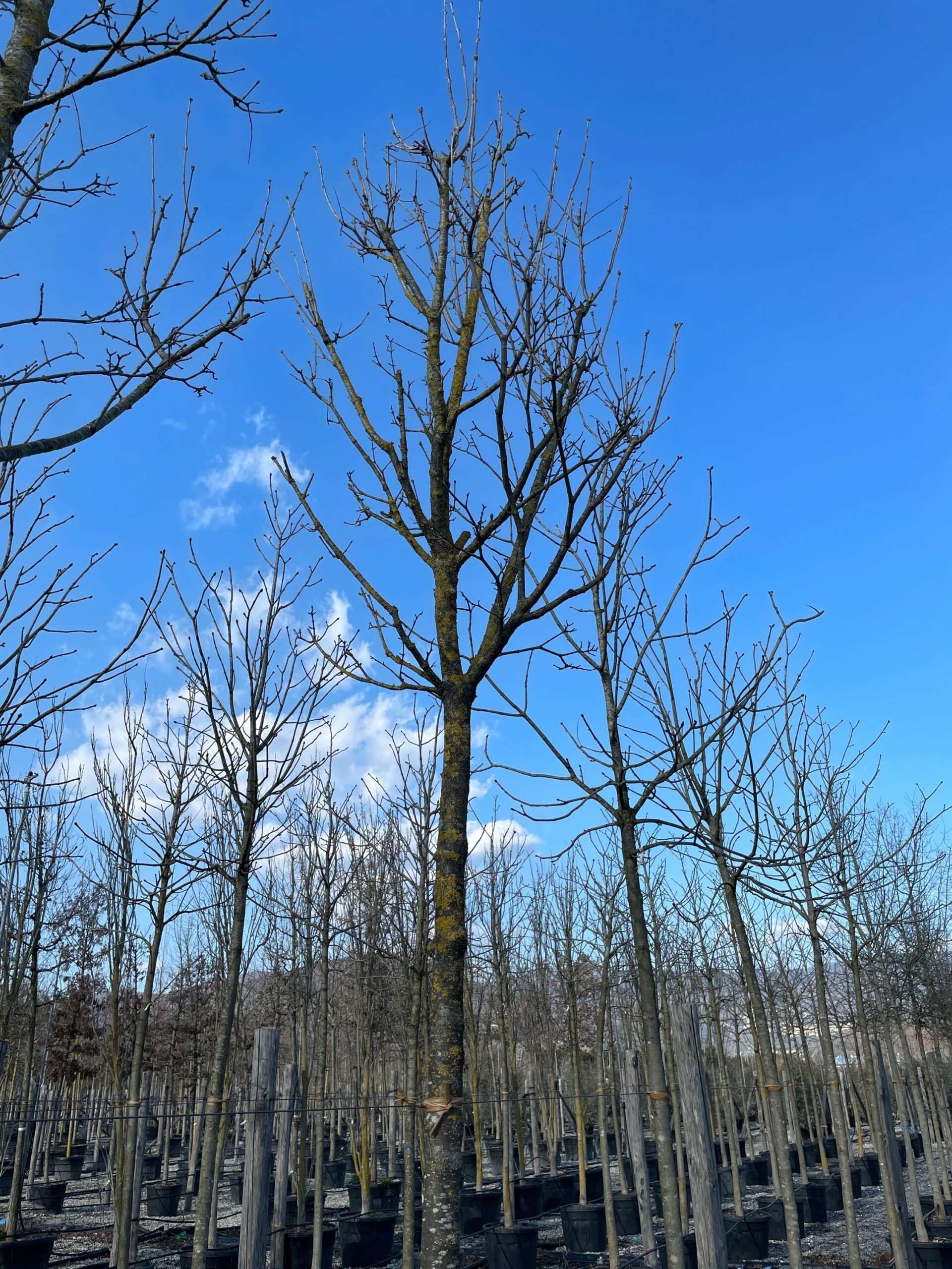 1644241659 scaled 31d5137e