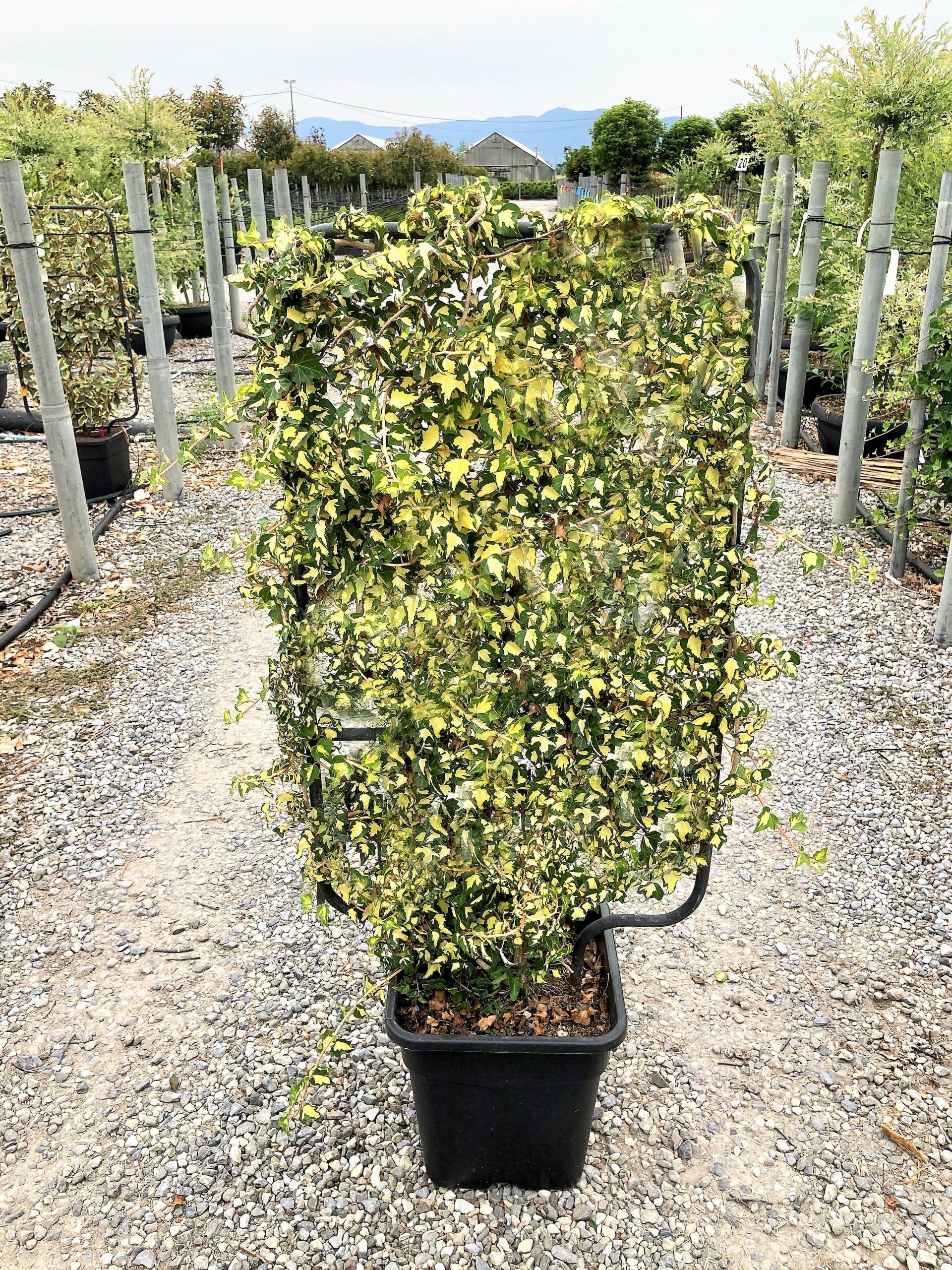 1654592550 scaled 313679d9