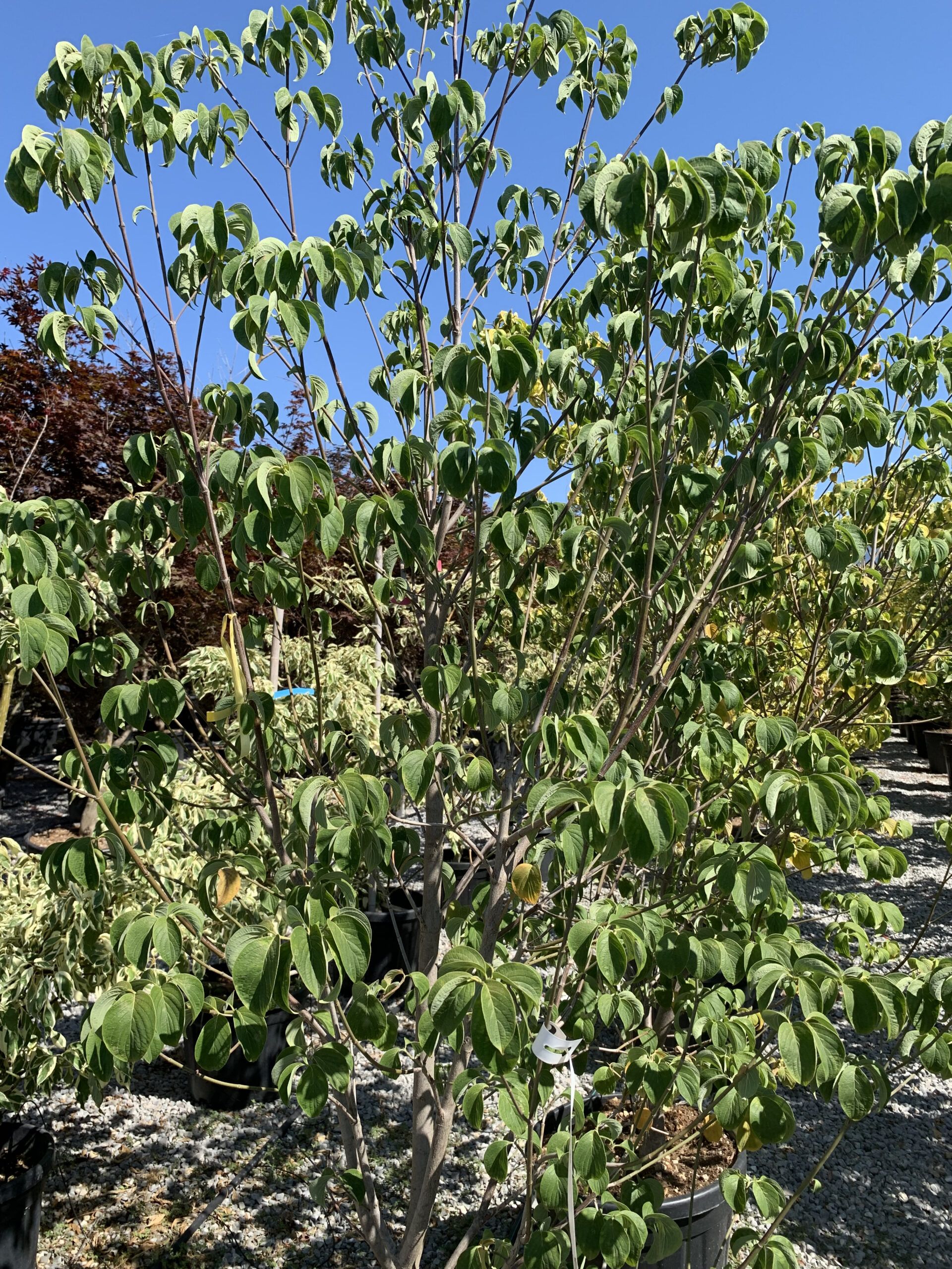 1657194110 scaled 315f208b