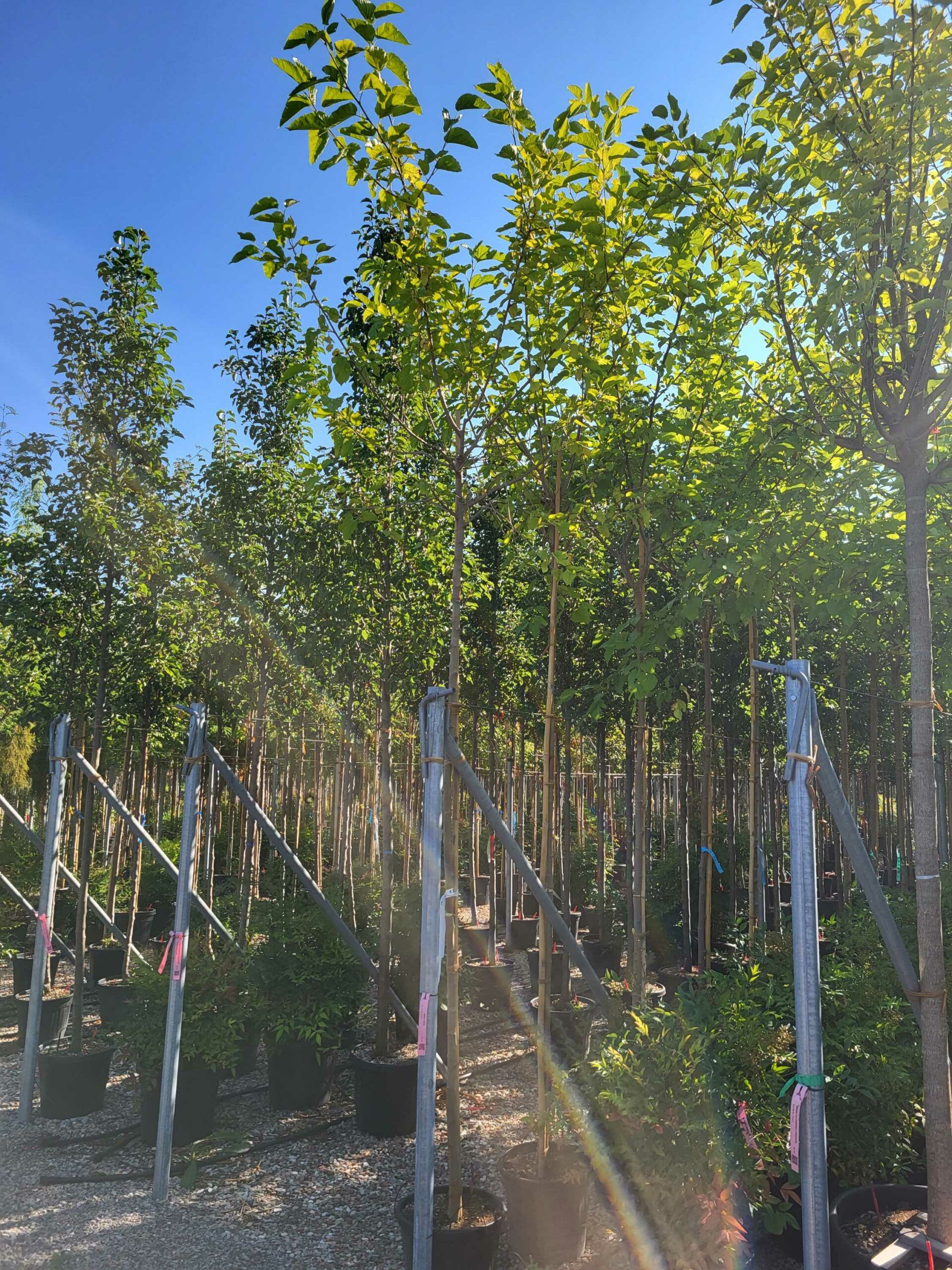 1692689514 scaled 310f61ea