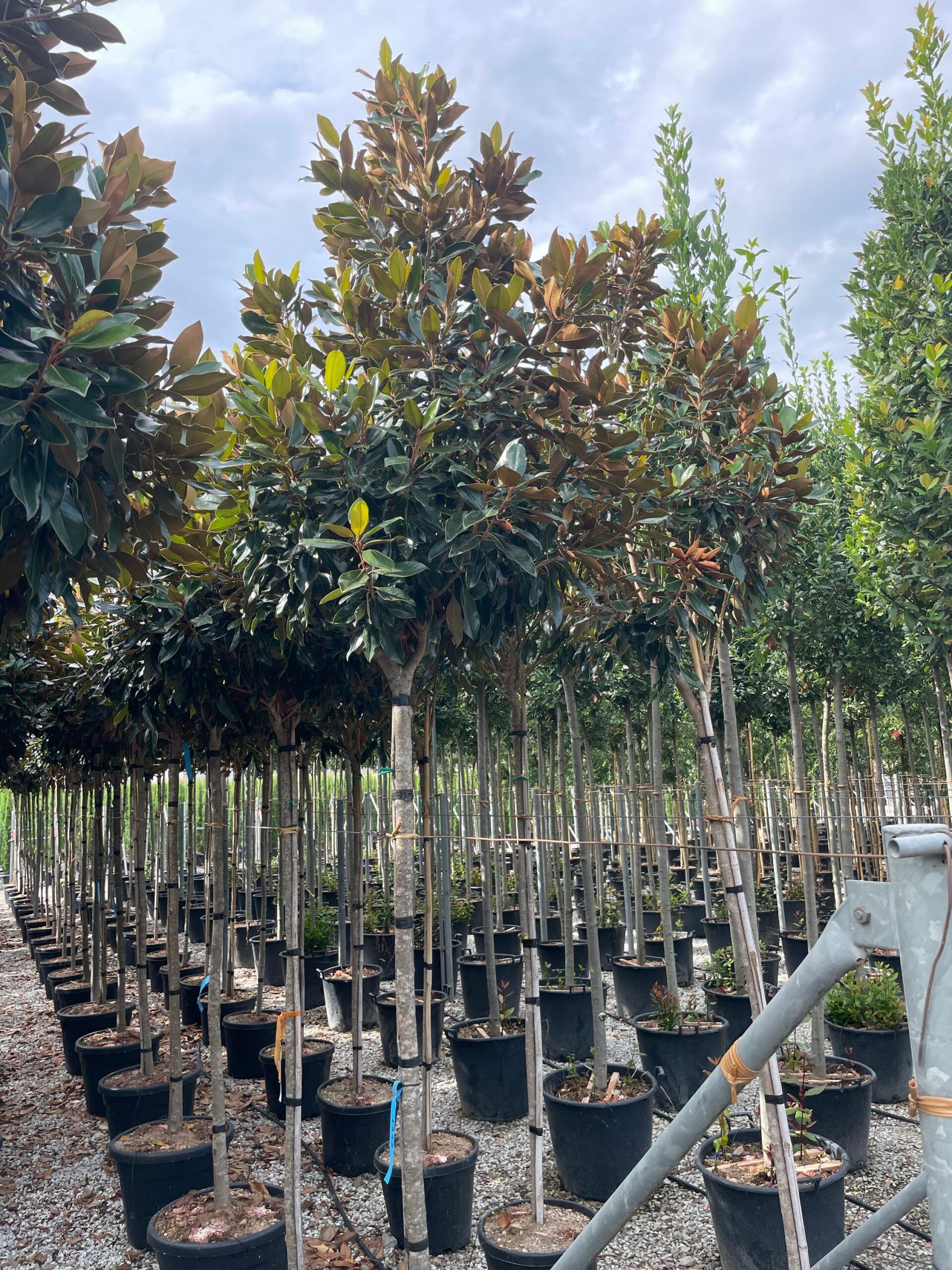 1695199157 scaled 31b71a46