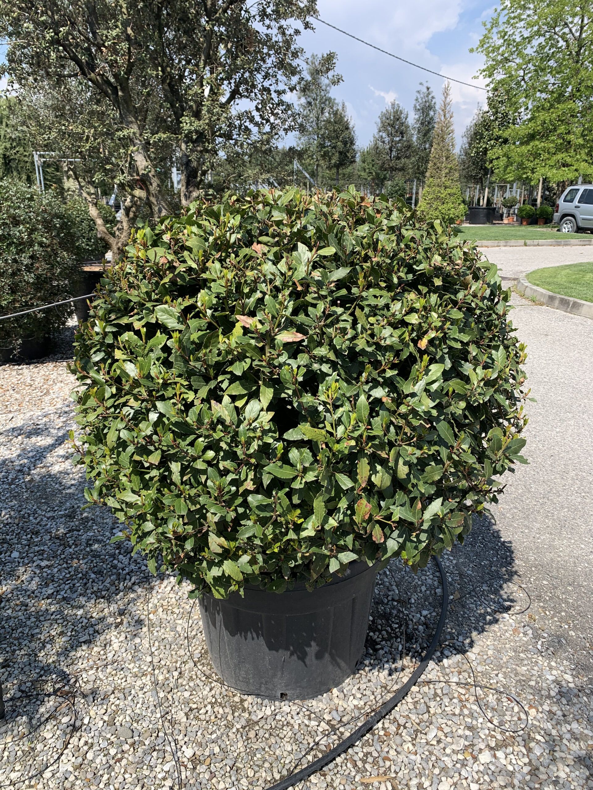 1619075335 scaled 327838ff