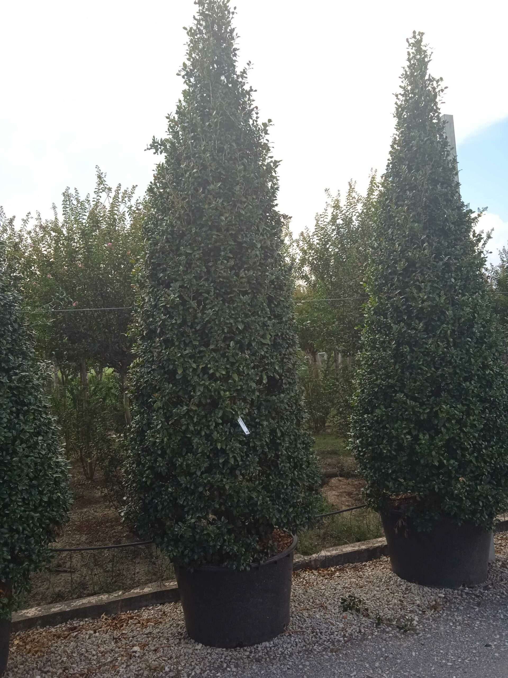 1661784429 scaled 3268dc51