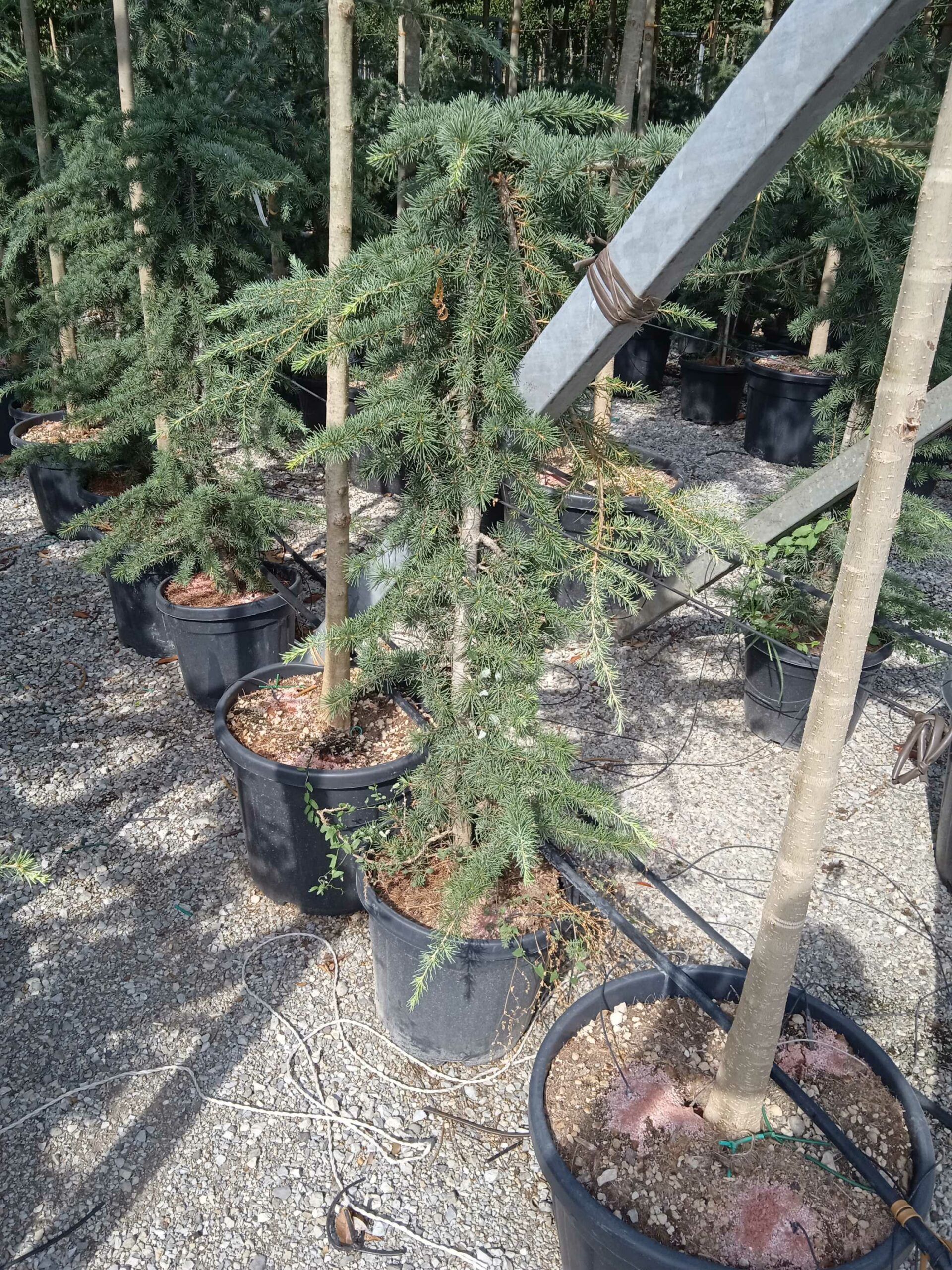 1662126281 scaled 324c7295