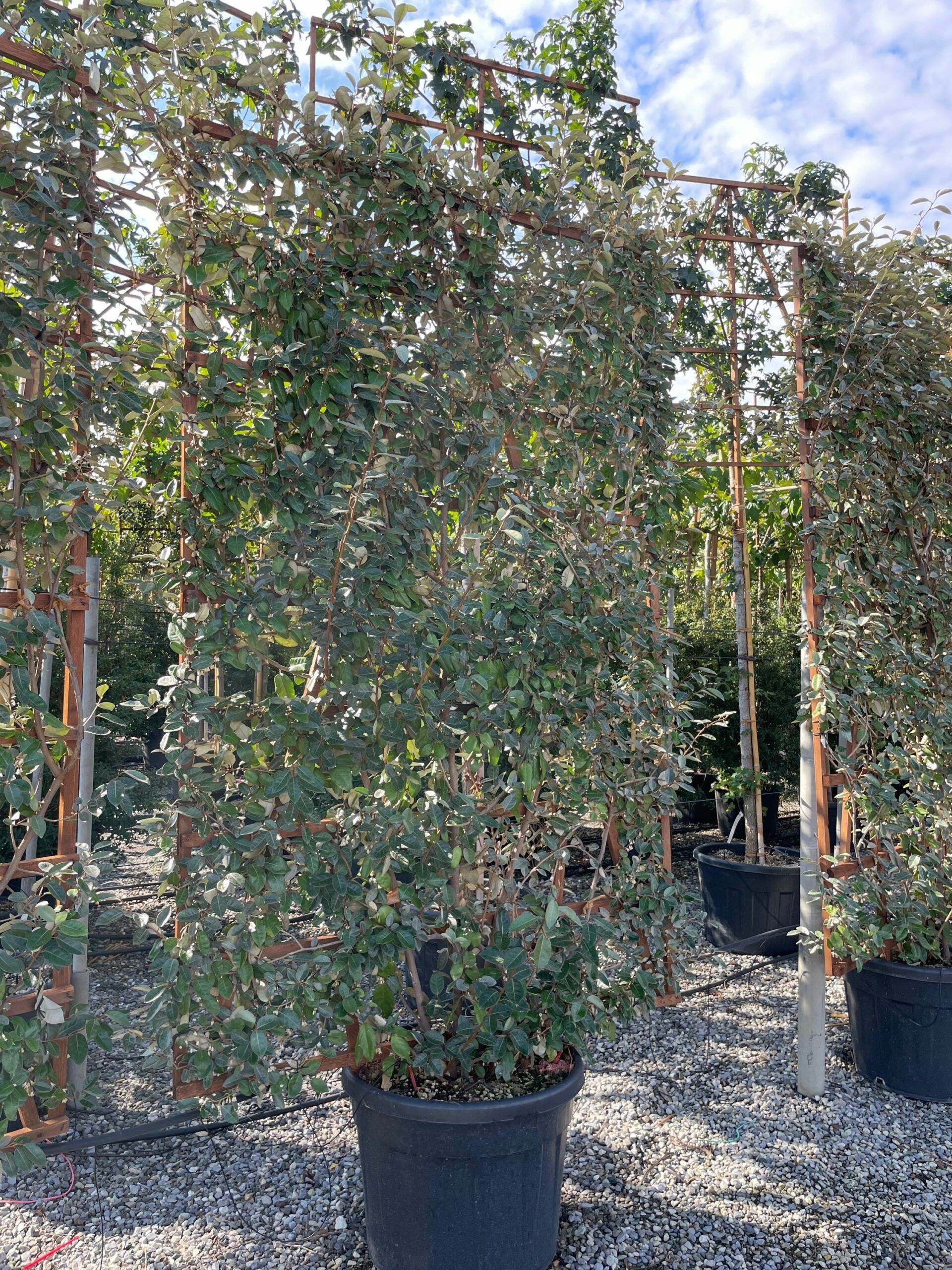 1665306219 scaled 32394cc9