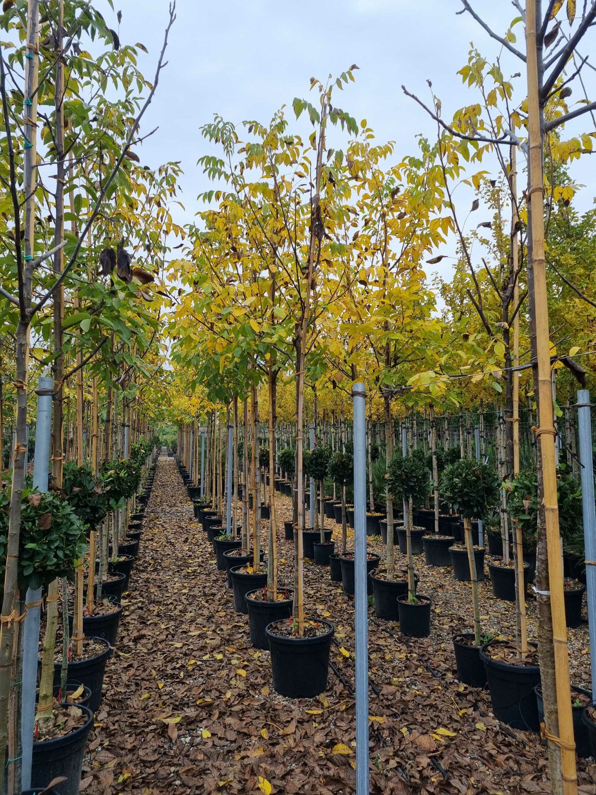 1668501235 scaled 324757e4