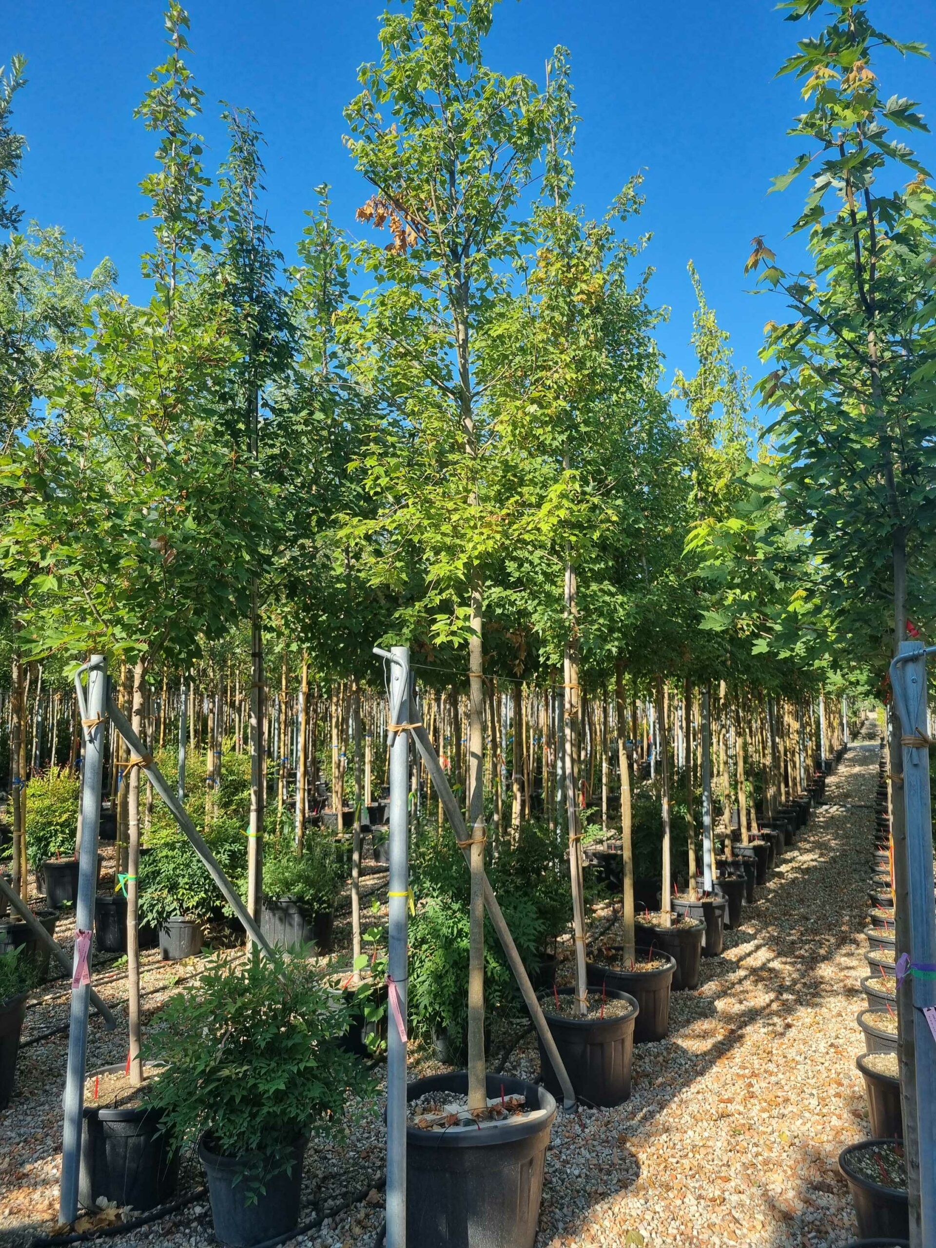 1692690111 scaled 320dffd4