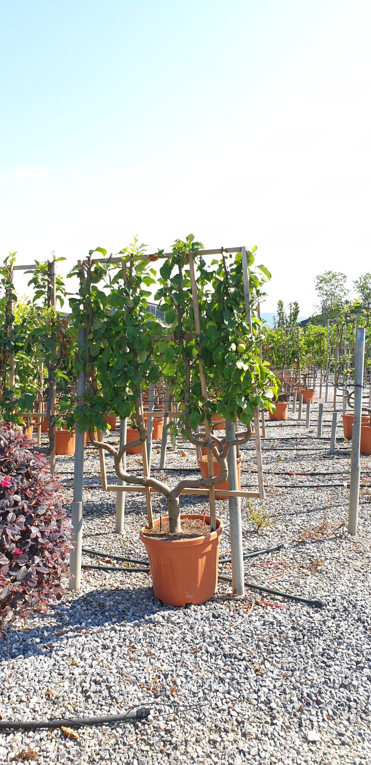 1608654942 scaled 334e3012