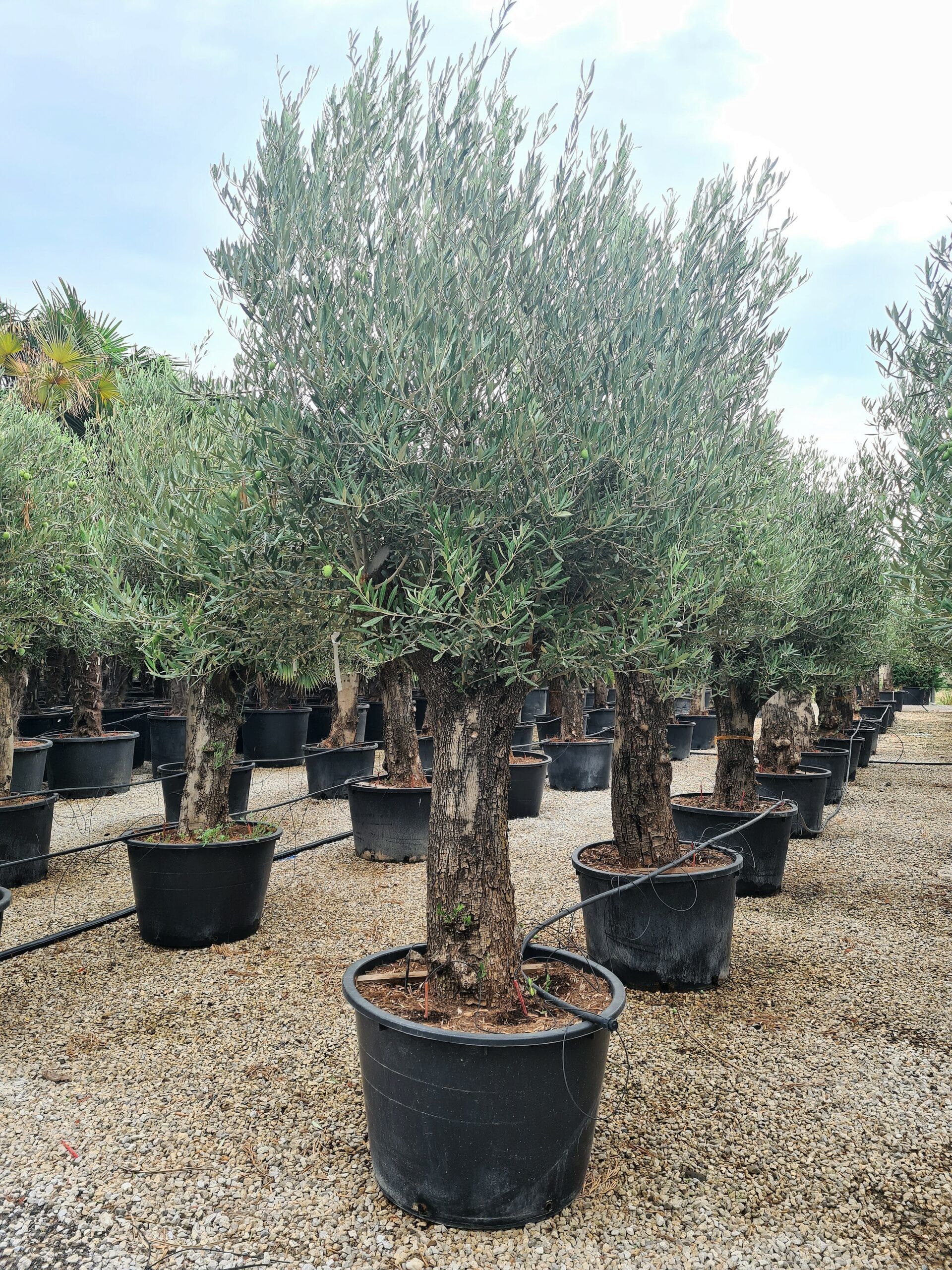 1631781316 scaled 333970fc