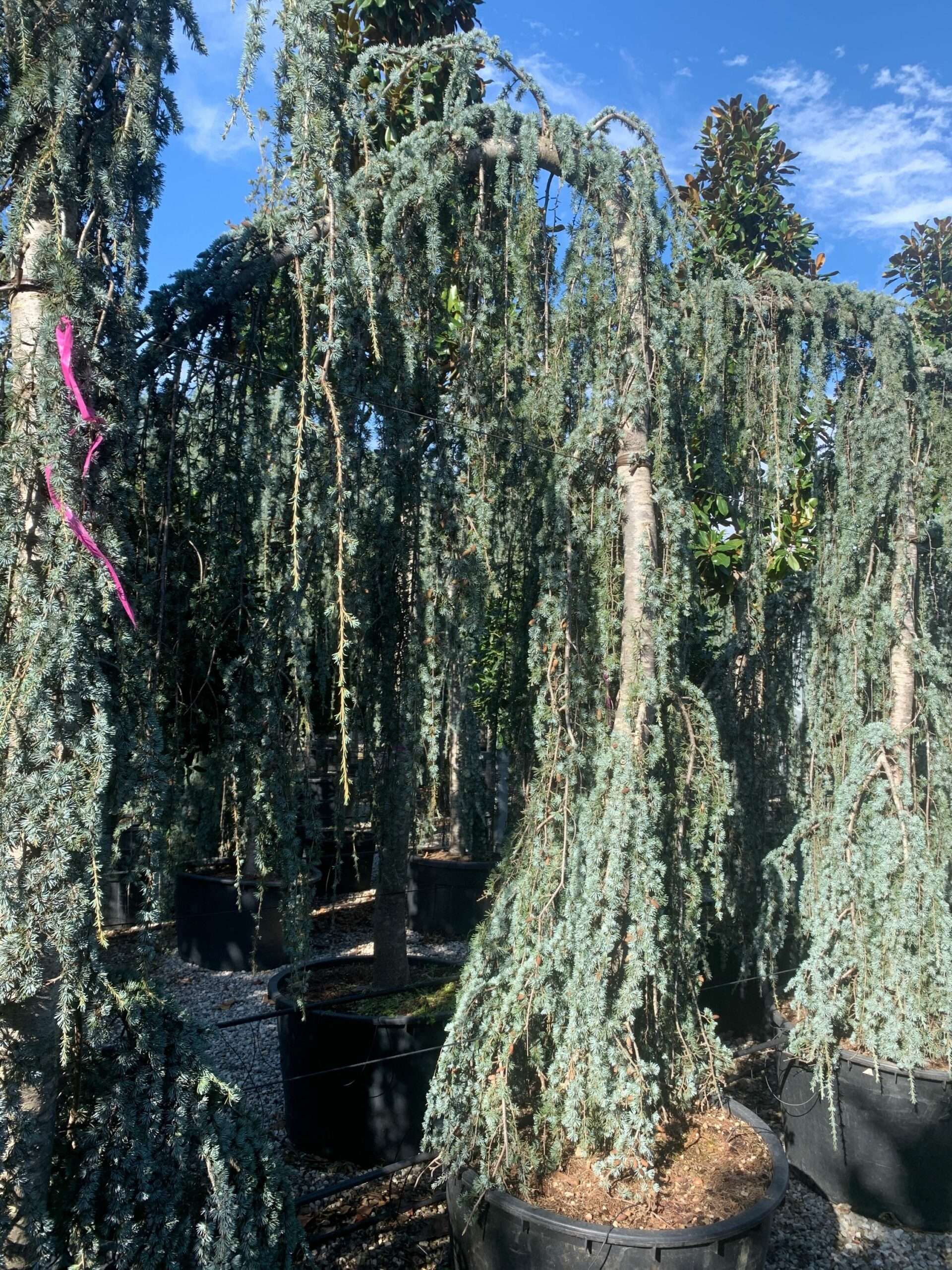 1636368102 scaled 33b4c282