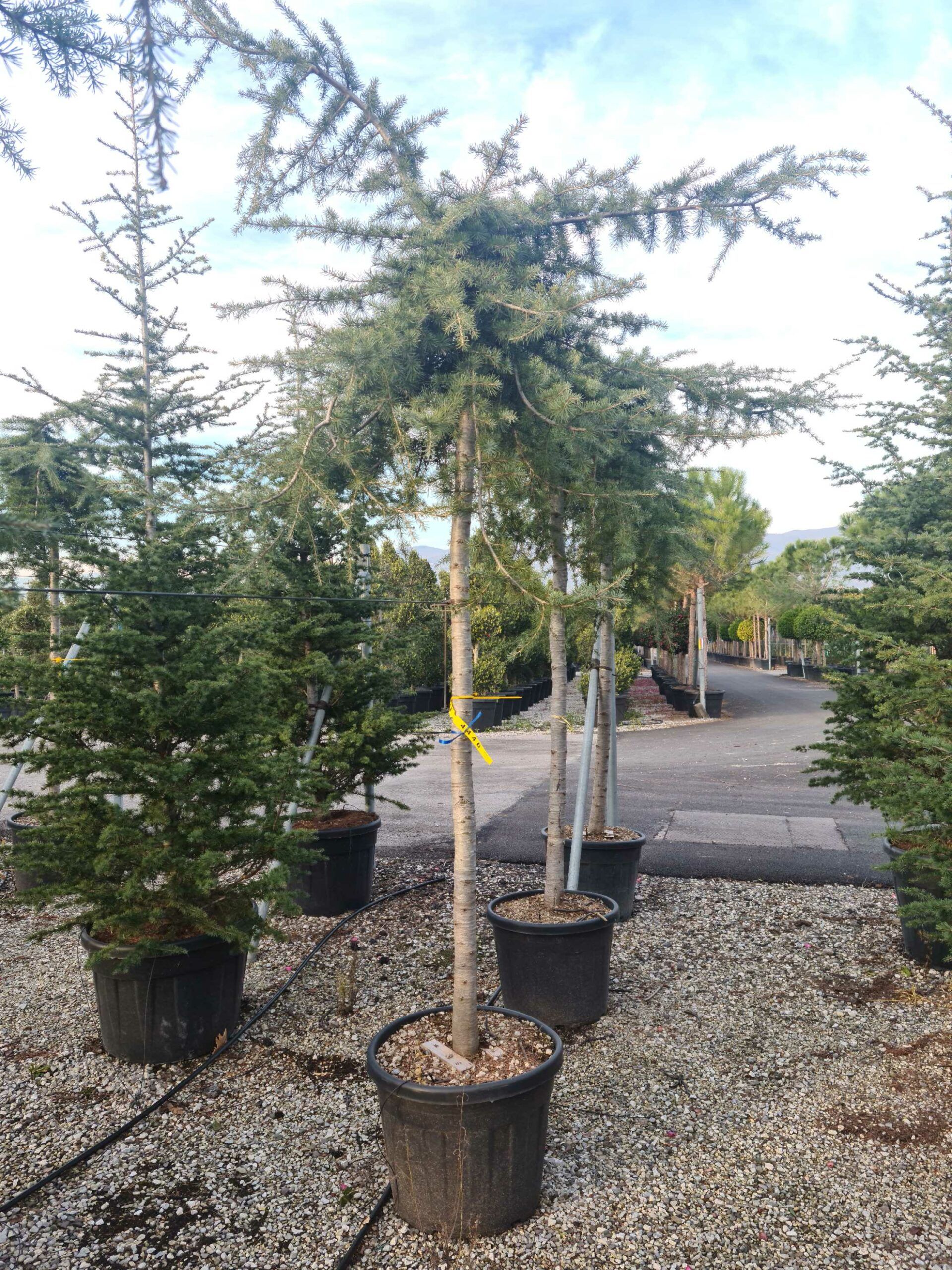 1639491854 scaled 3350ef3a