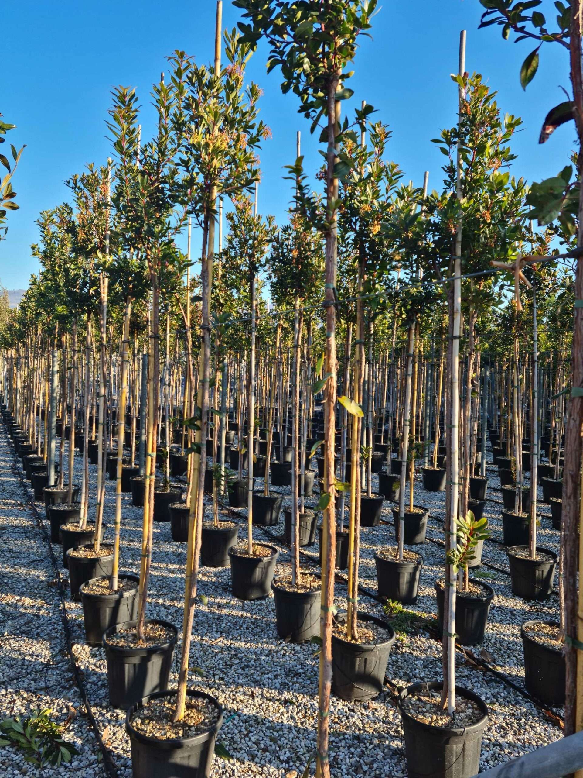 1643098337 scaled 33f2f3ec