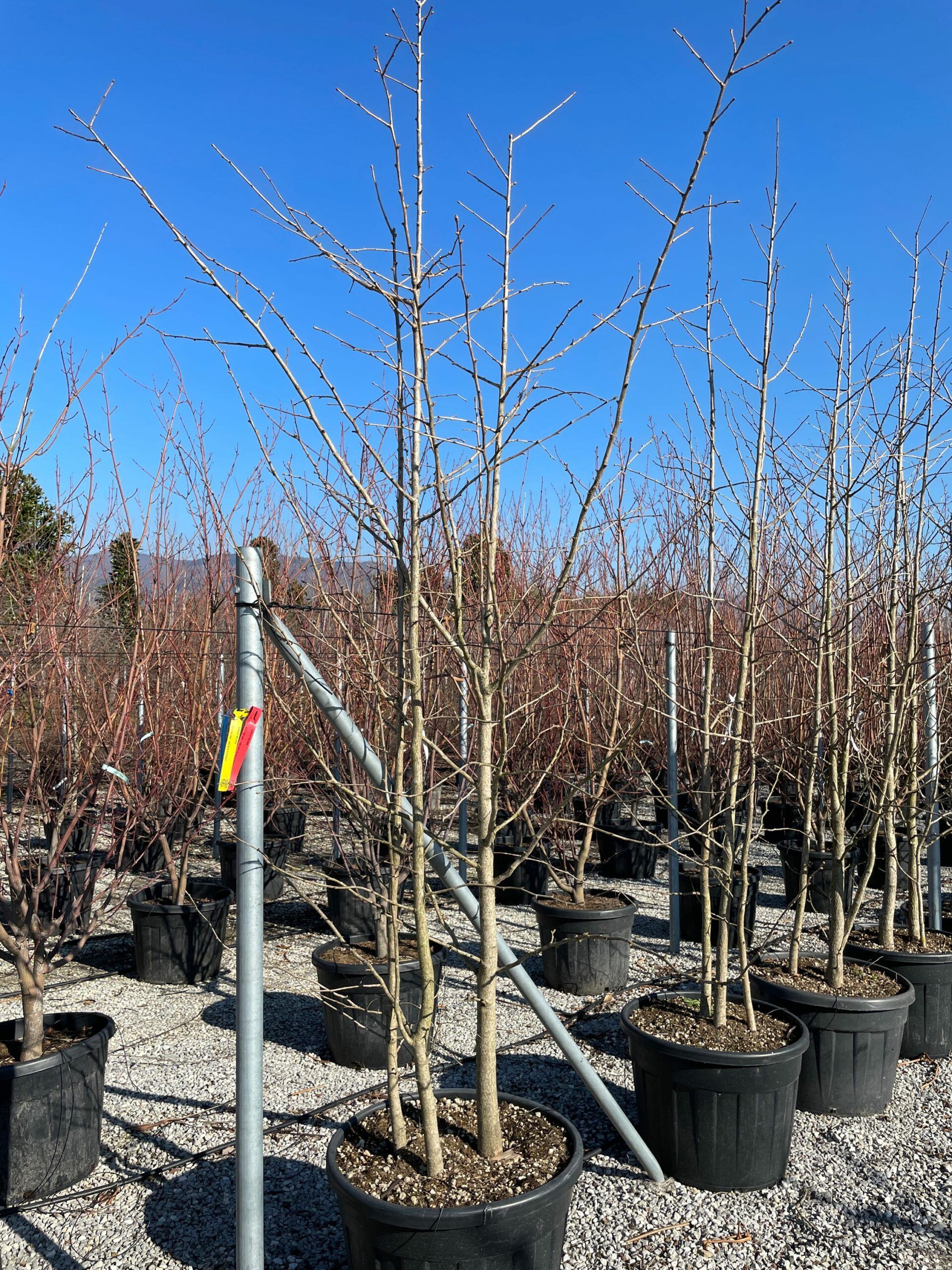 1643110024 scaled 33821e2d