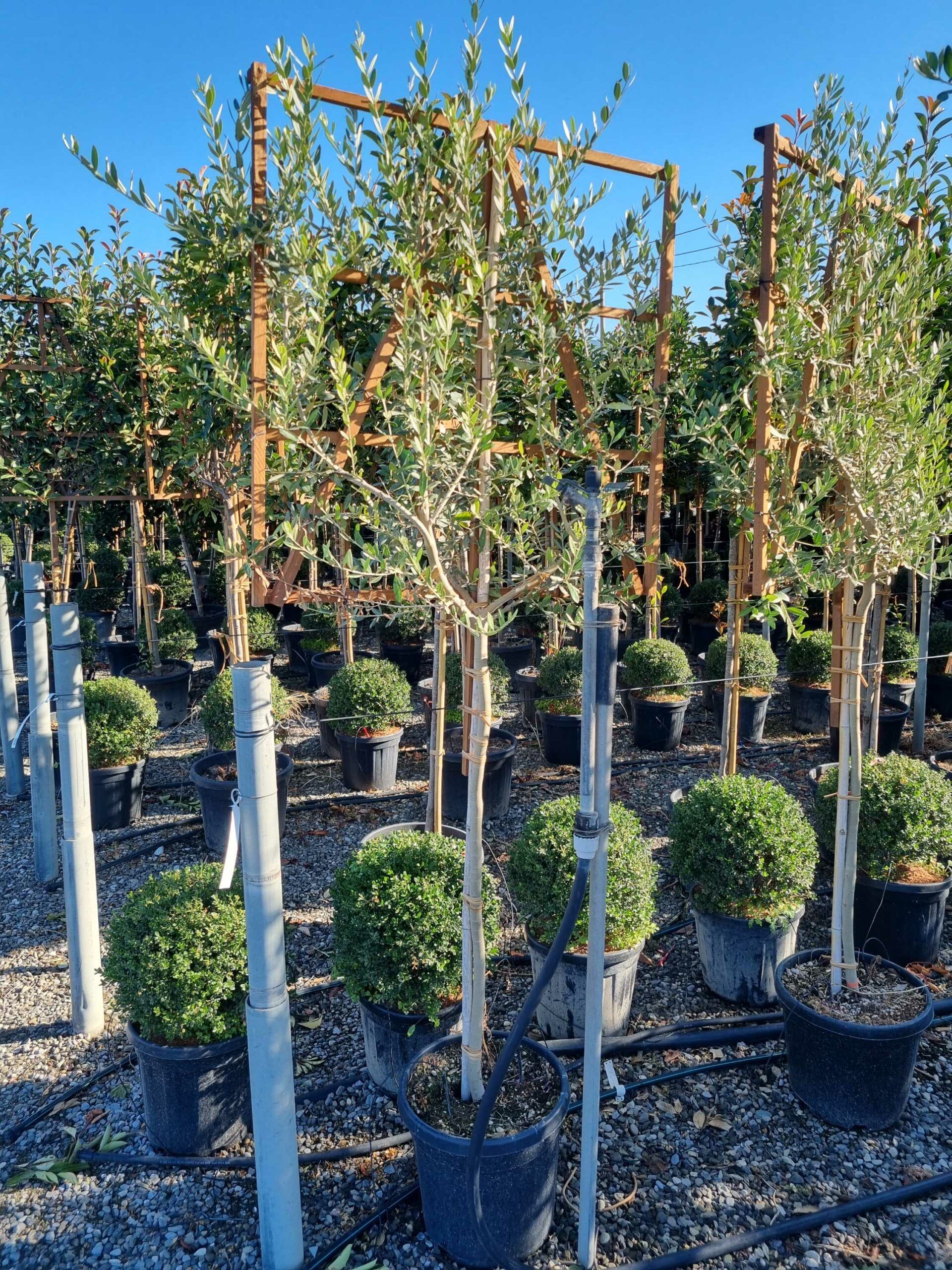 1663658555 scaled 33448ef5