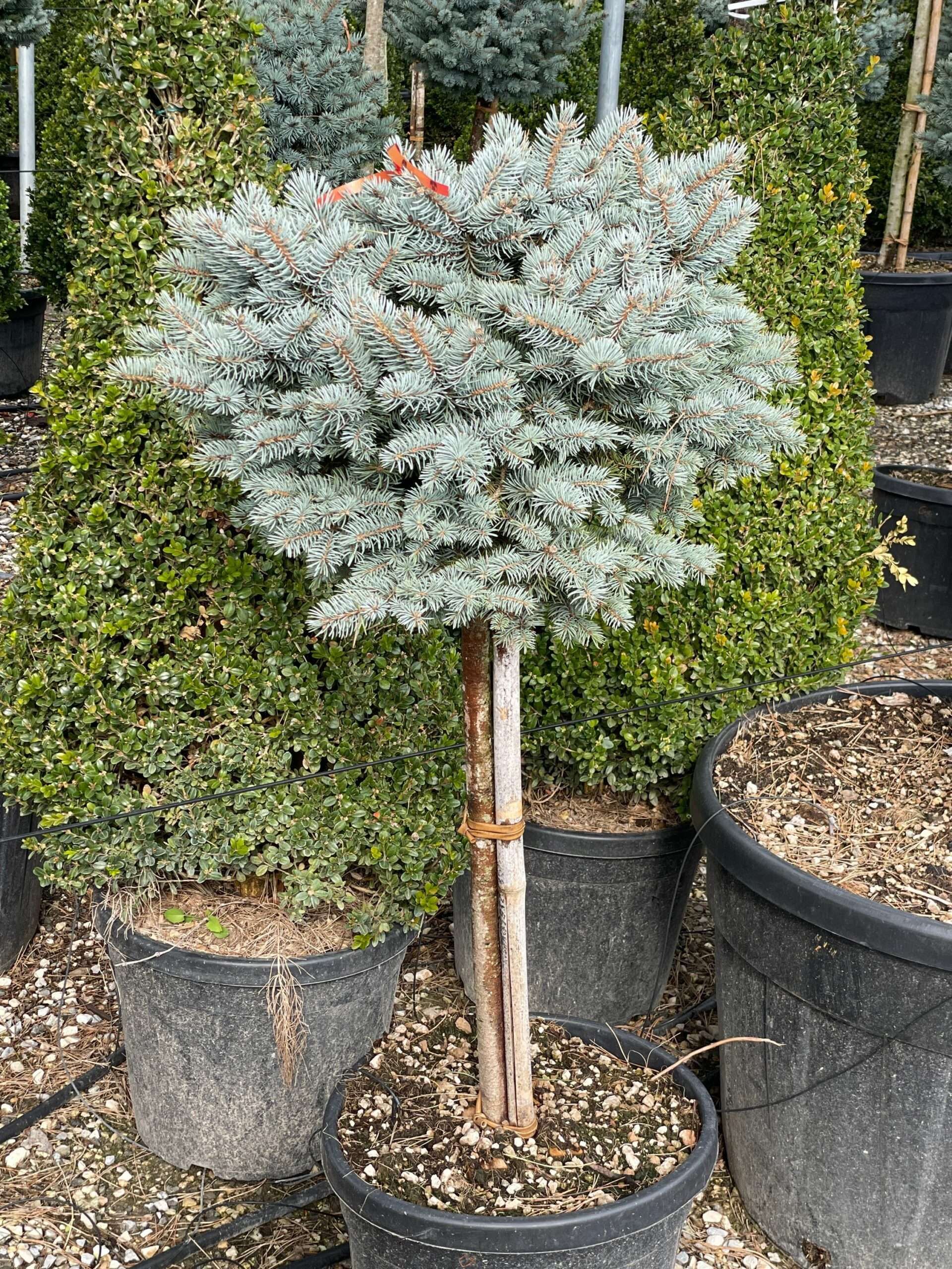 1678266387 scaled 33f96bd4