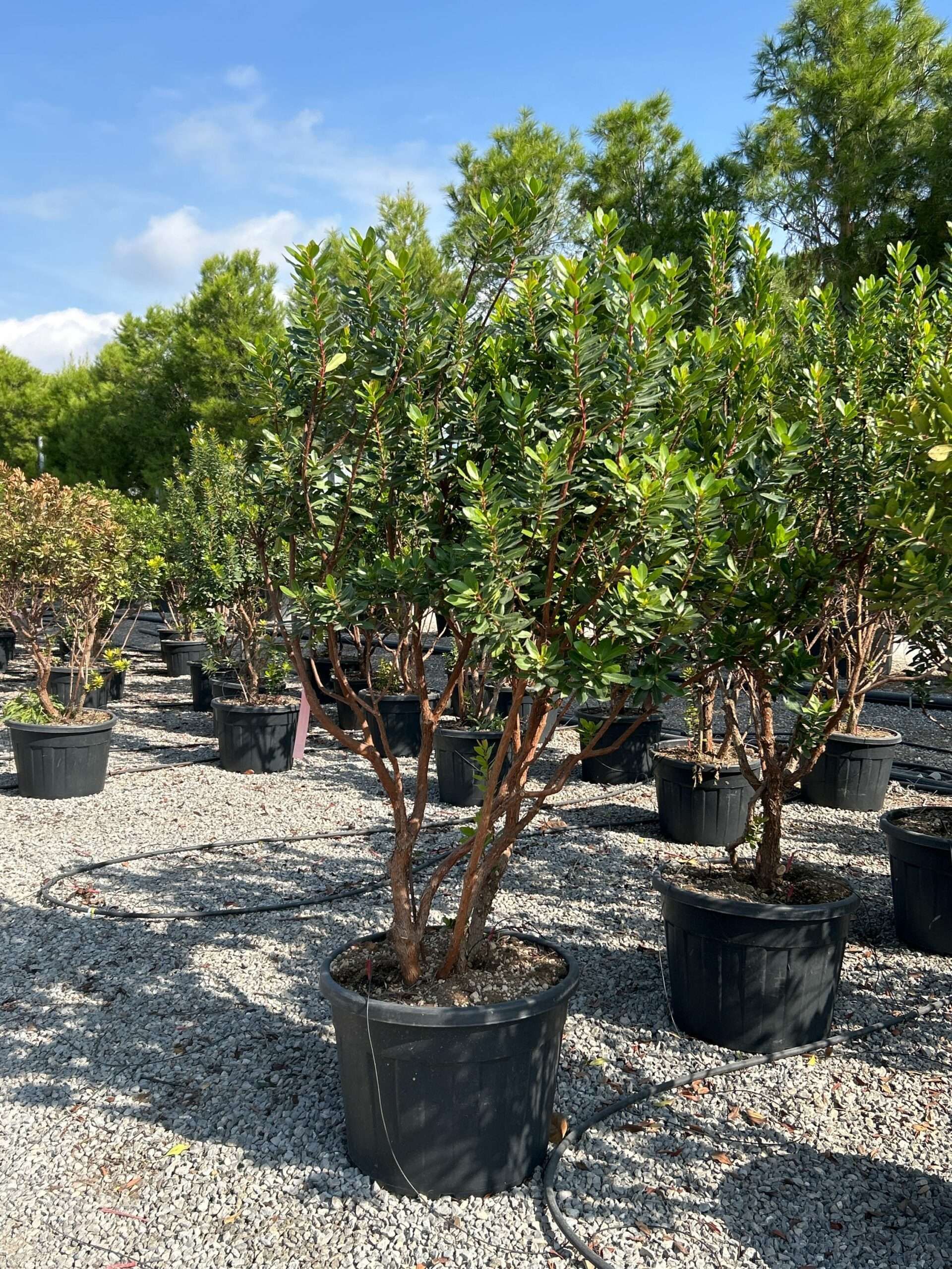 1697191855 scaled 33bd5835