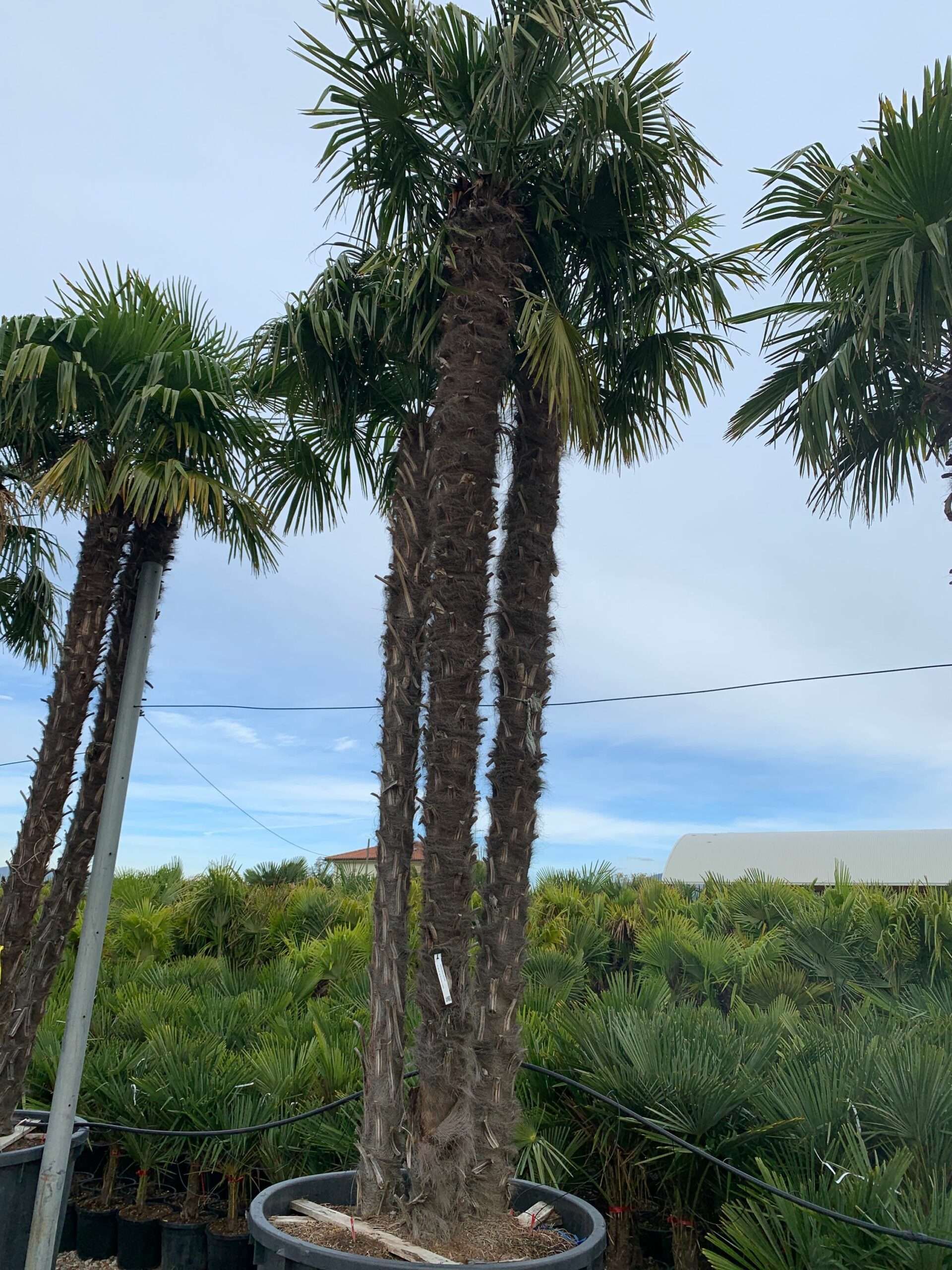 1636102622 scaled 342a0955