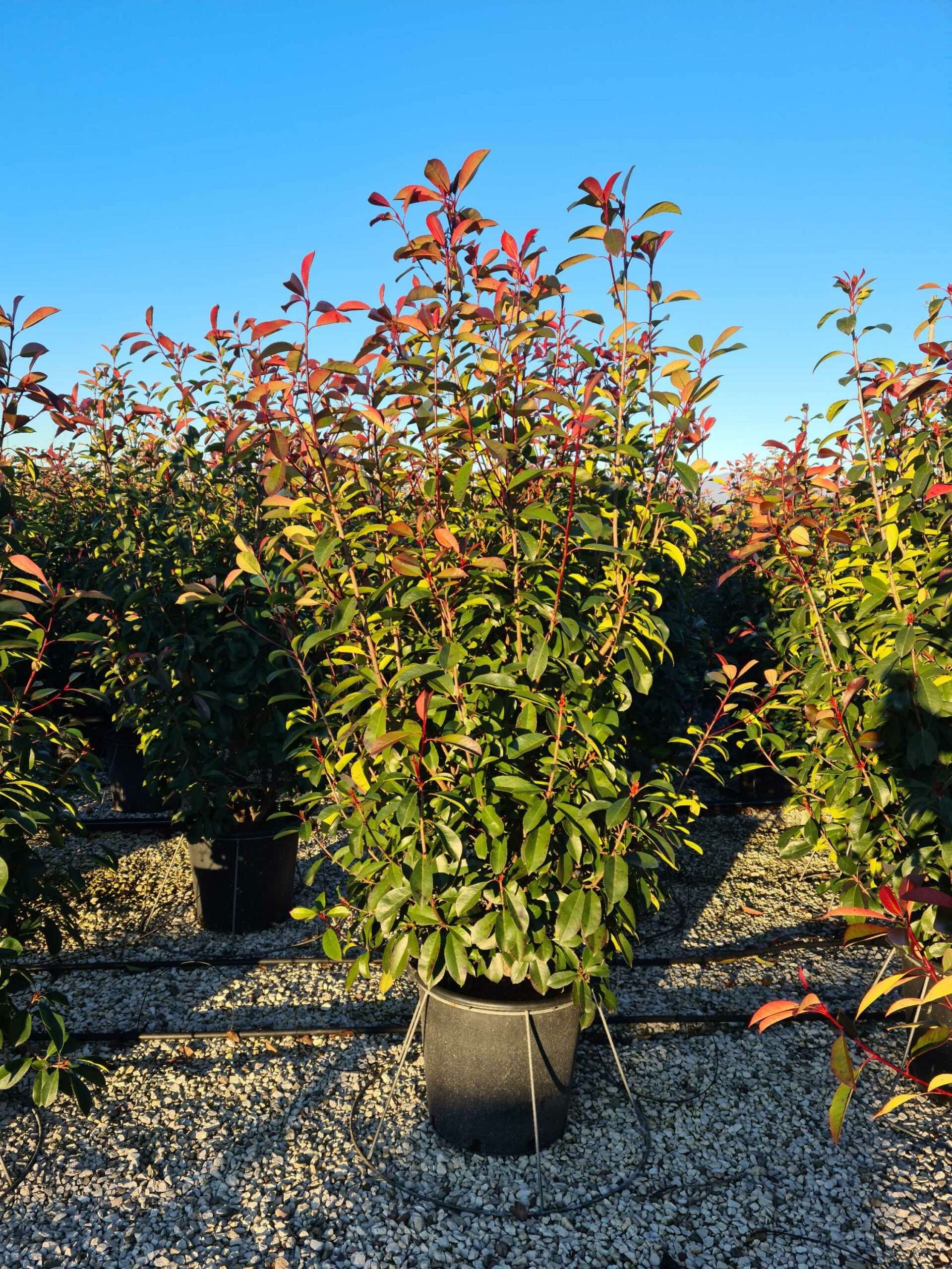 1642146190 scaled 34e6cec0