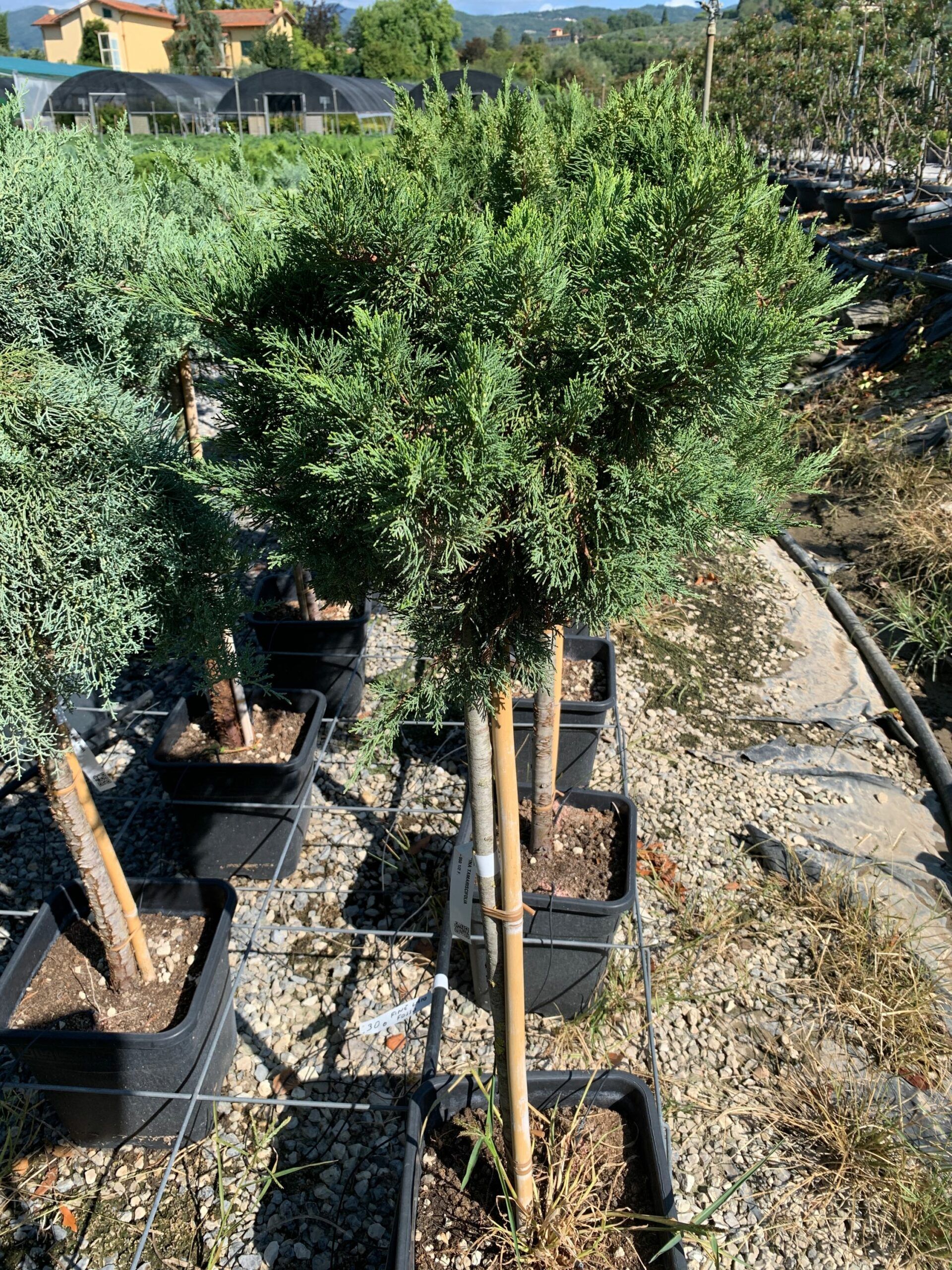 1662109030 scaled 3461d8e4