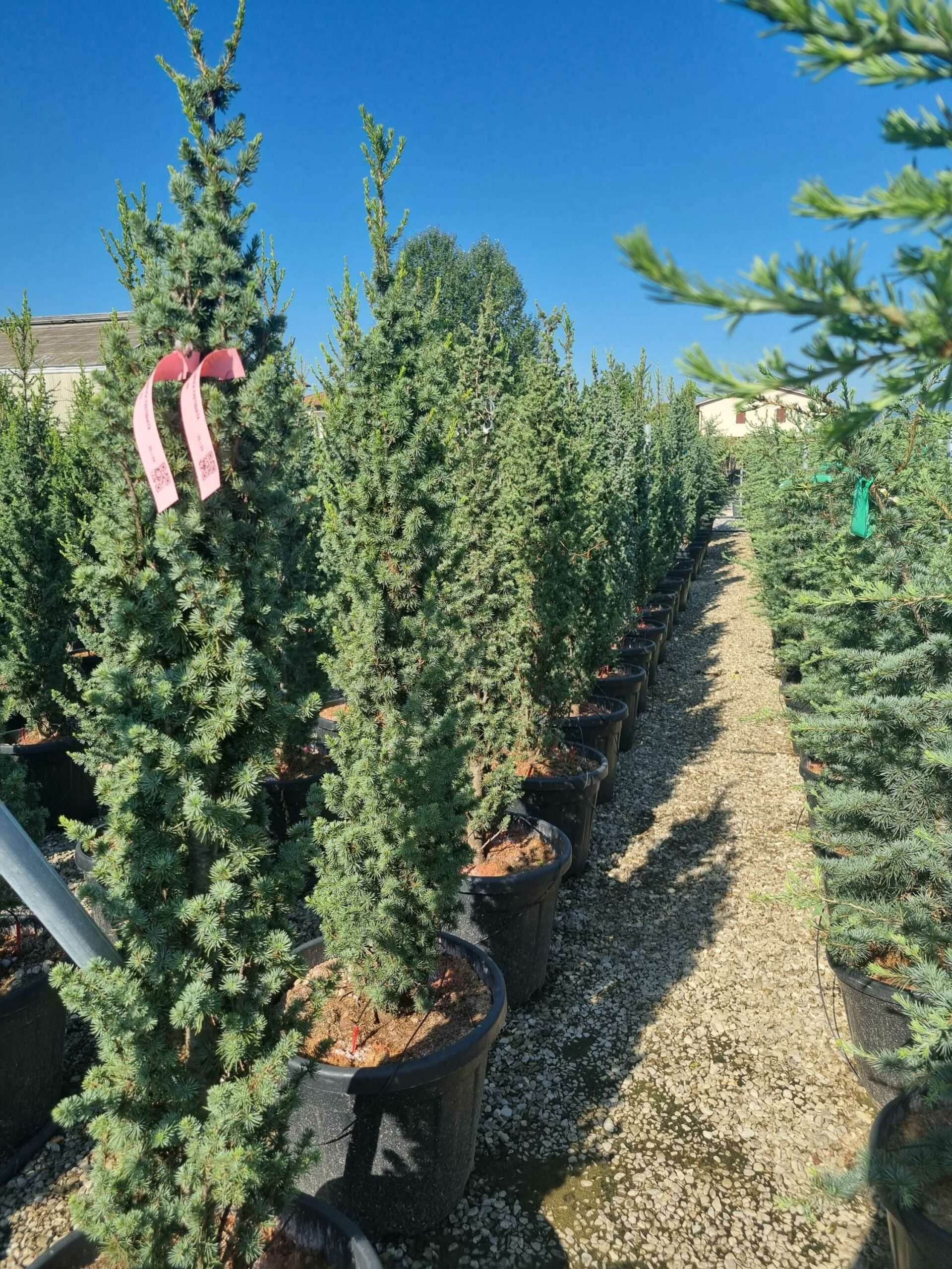 1692690694 scaled 34da681f