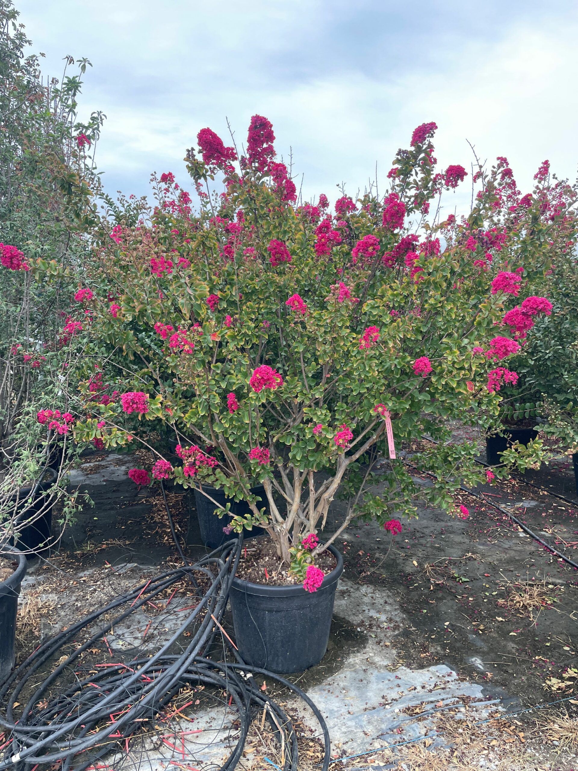 1695223170 scaled 3413b770