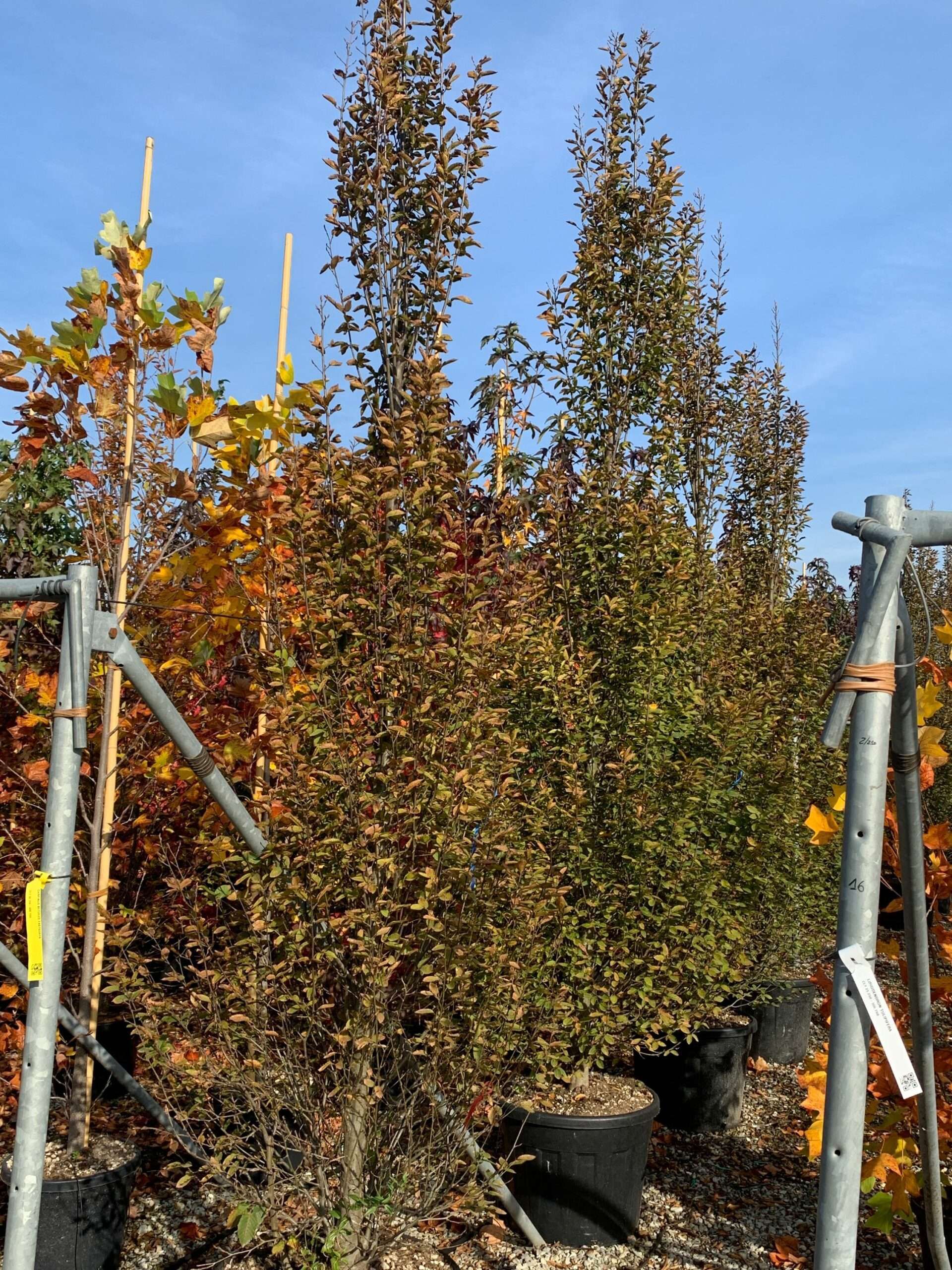 1635496173 scaled 359aba37