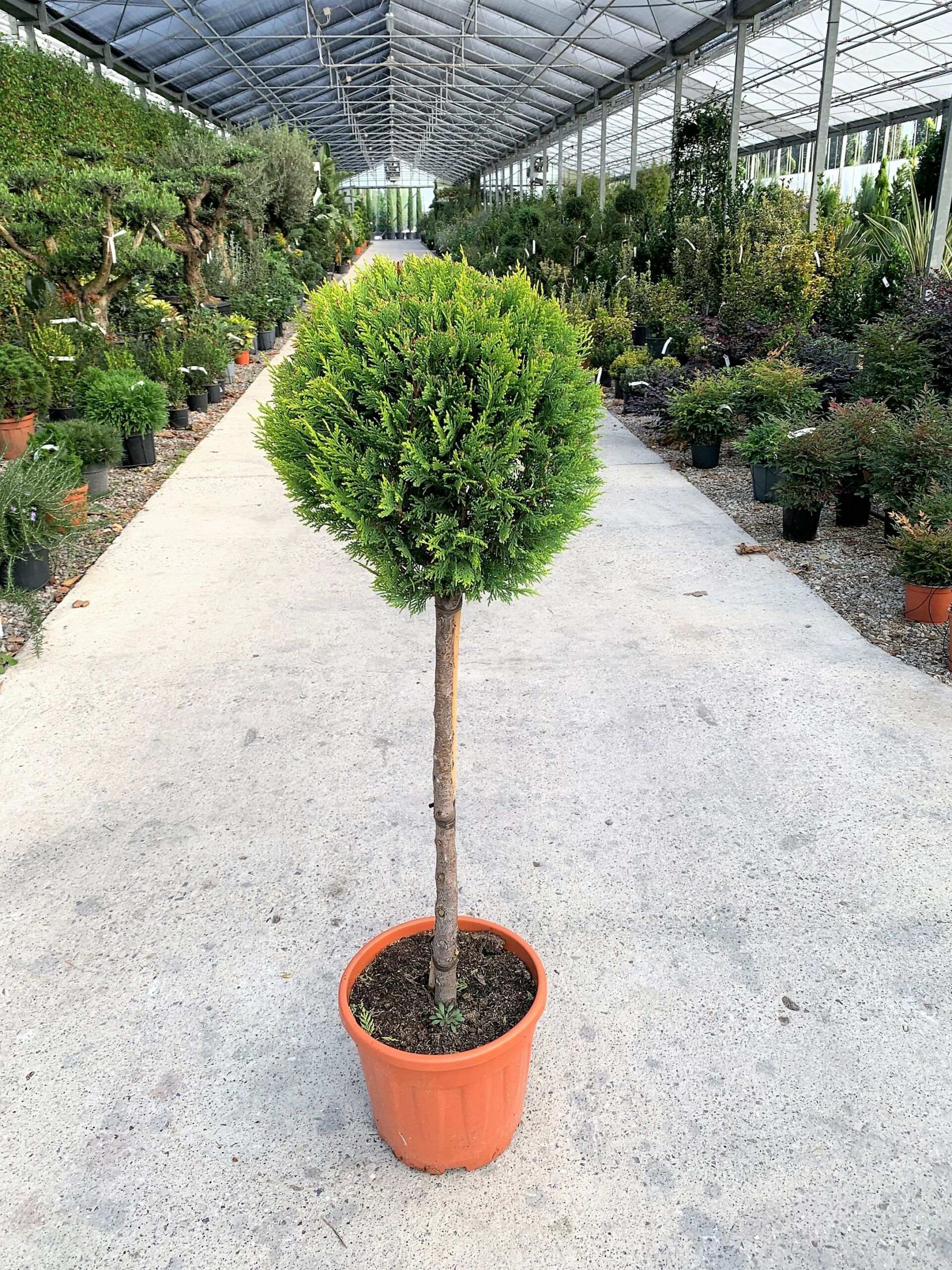 1635521318 1634974975 scaled 35275aac