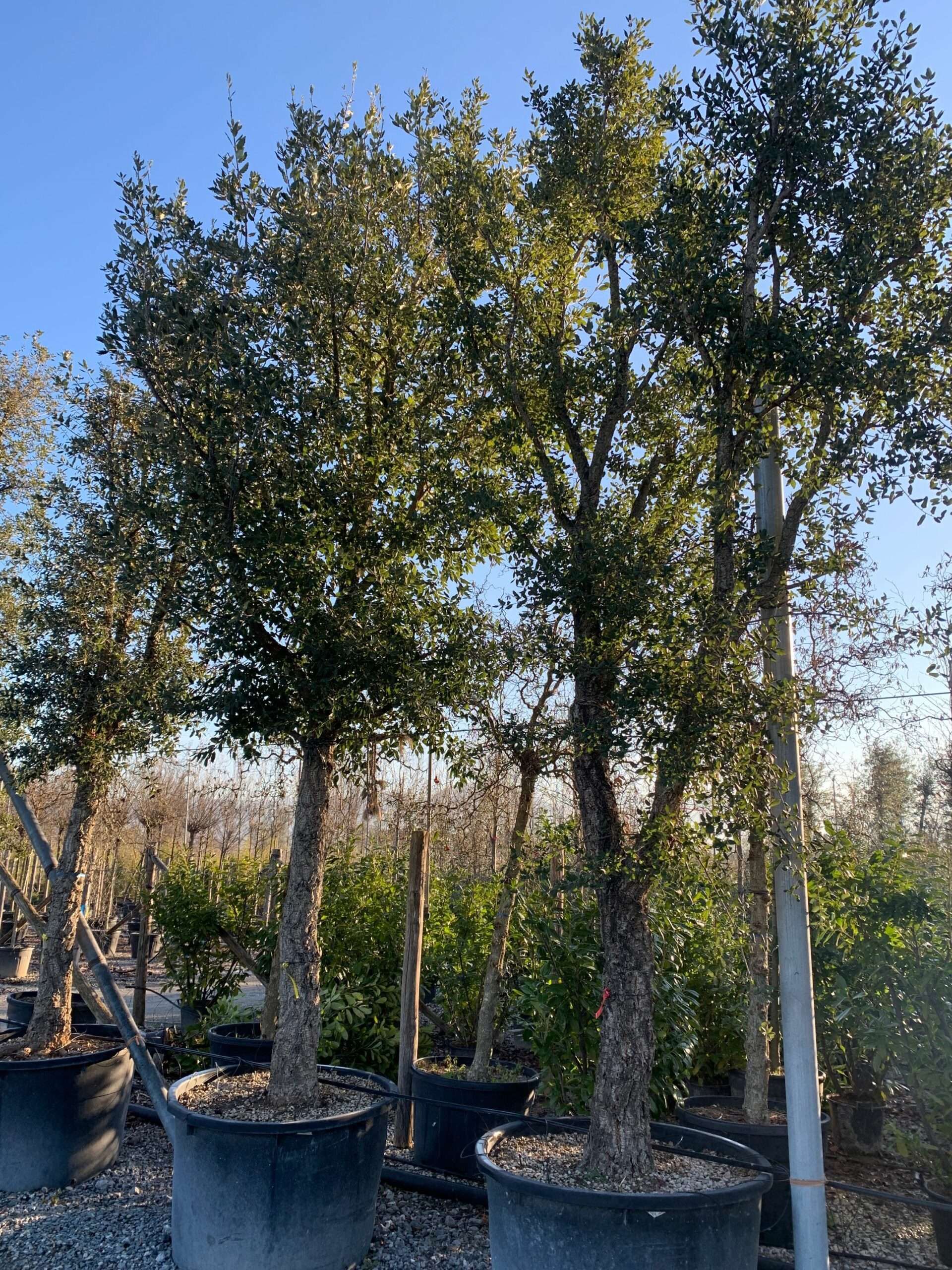 1642838824 scaled 35c8a717