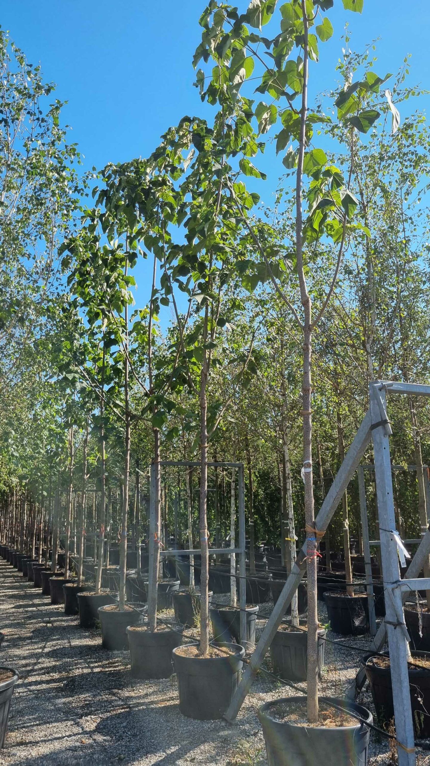 1657898799 scaled 3581d7b3