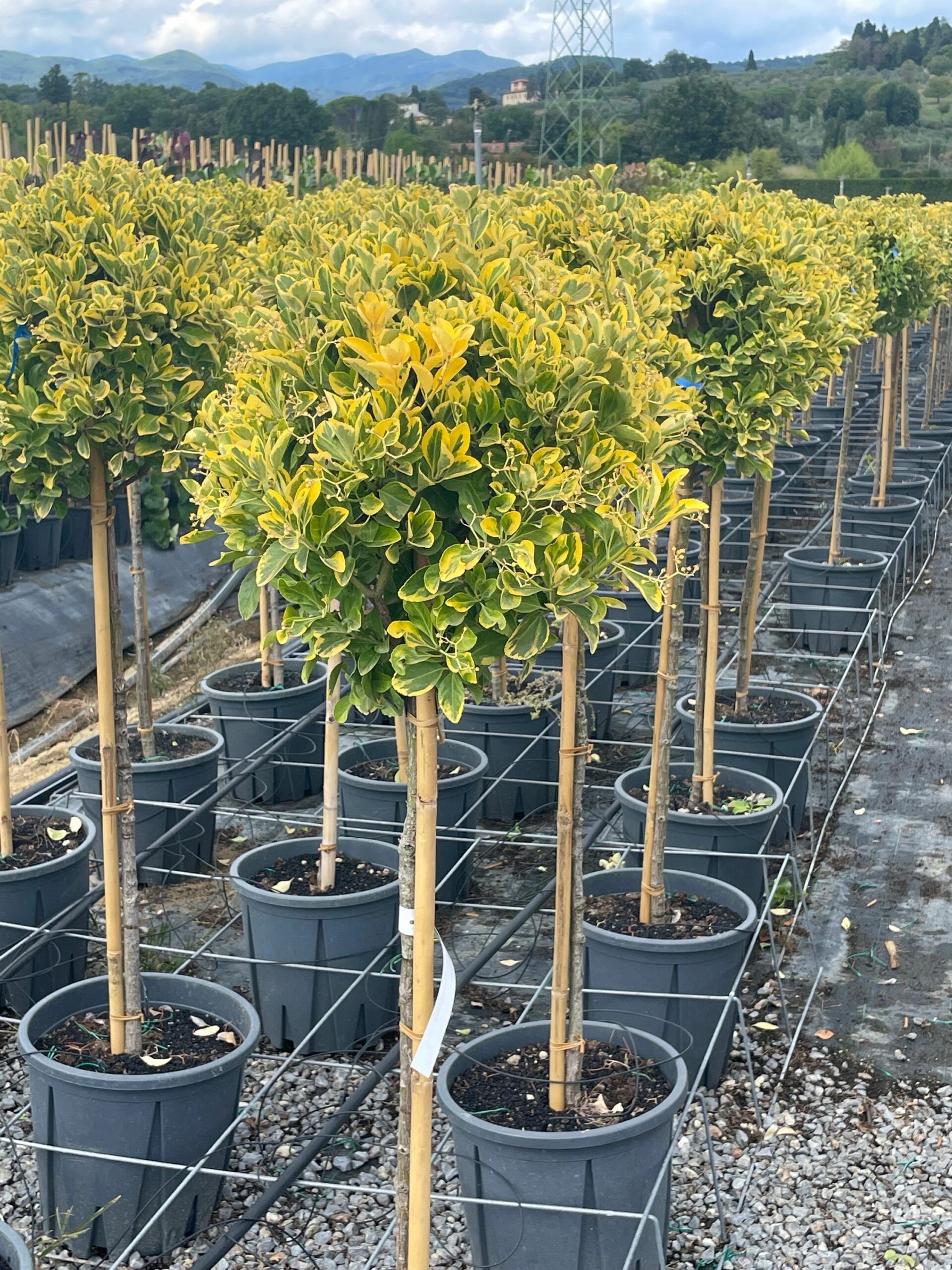 1661951155 scaled 35e16f2e