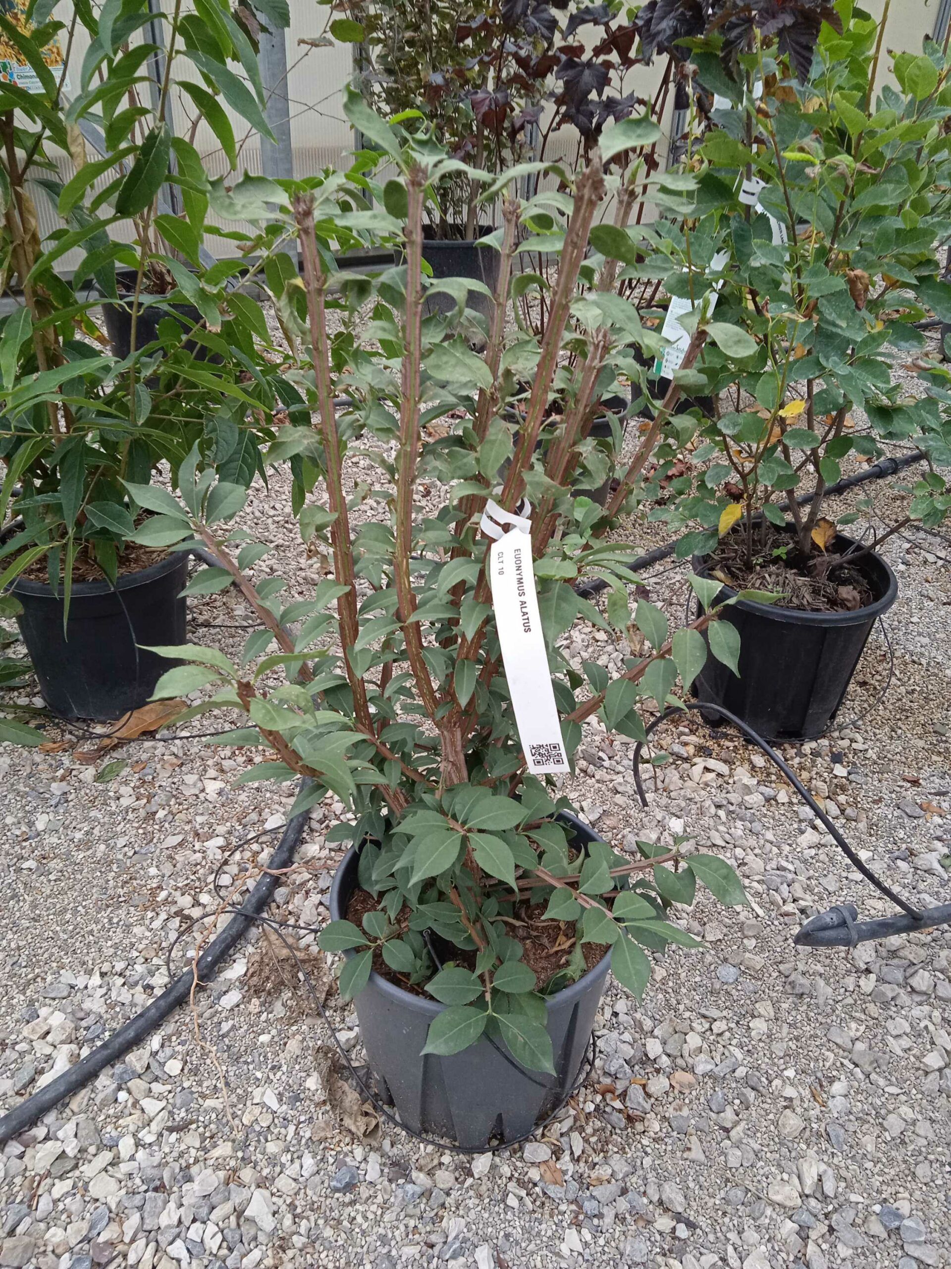 1662191106 scaled 35e2c2e4