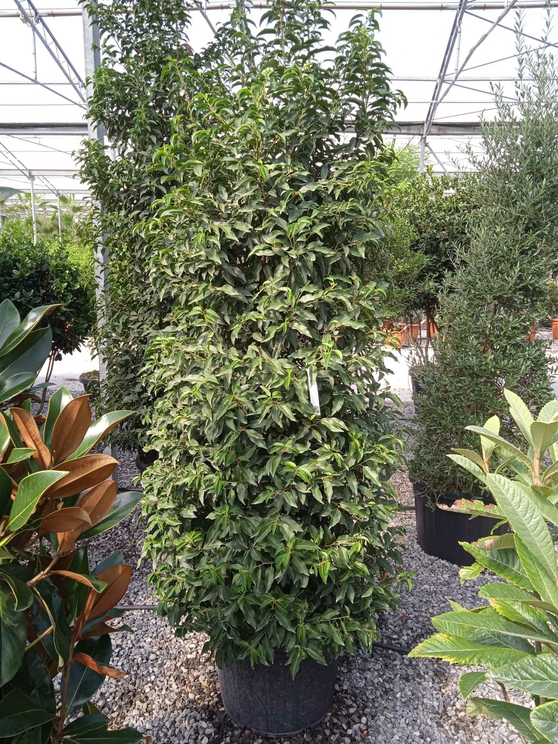 1662368962 scaled 351c1357