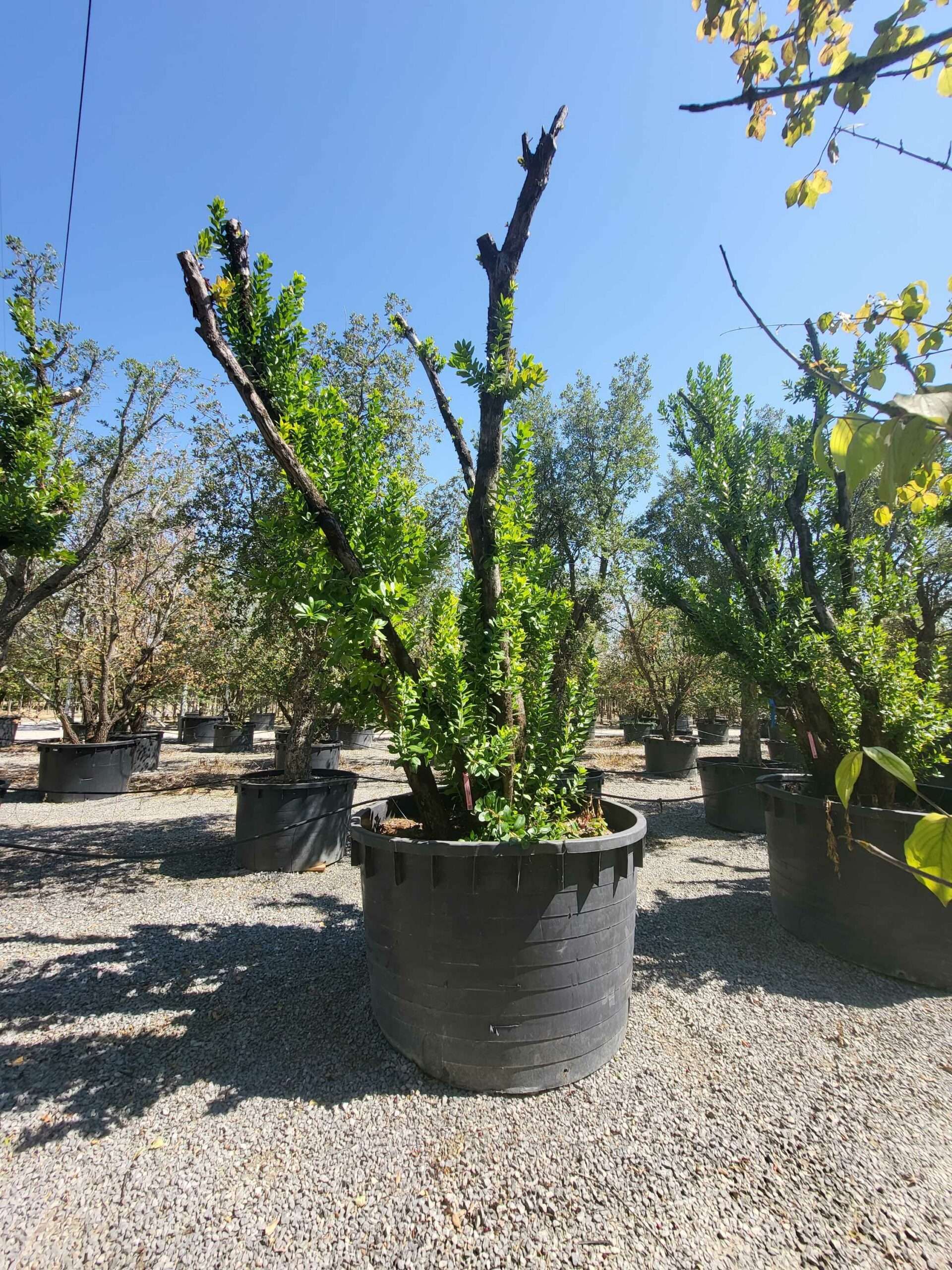 1692709058 scaled 35d6dc00