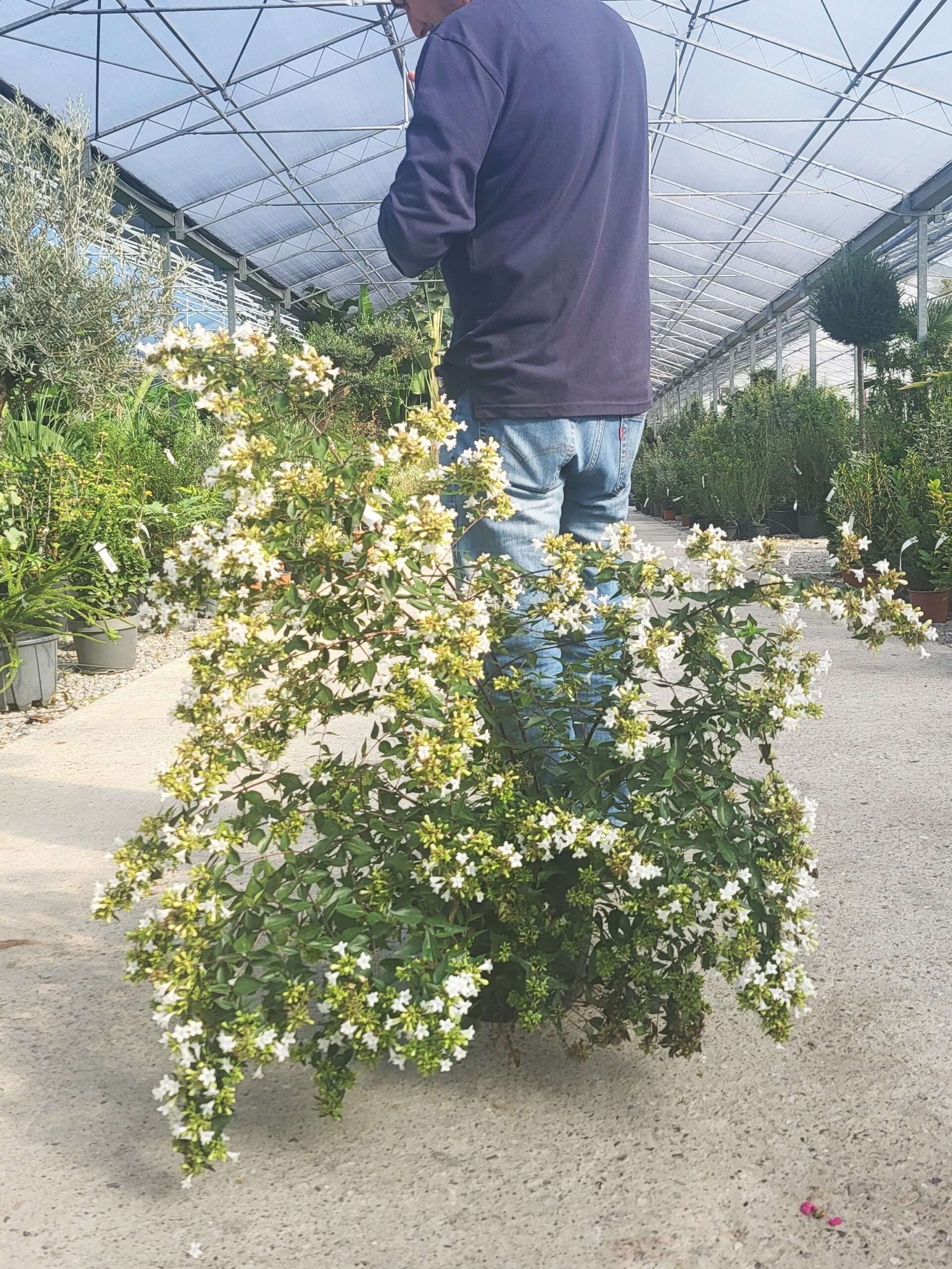 1696323629 scaled 357654d0