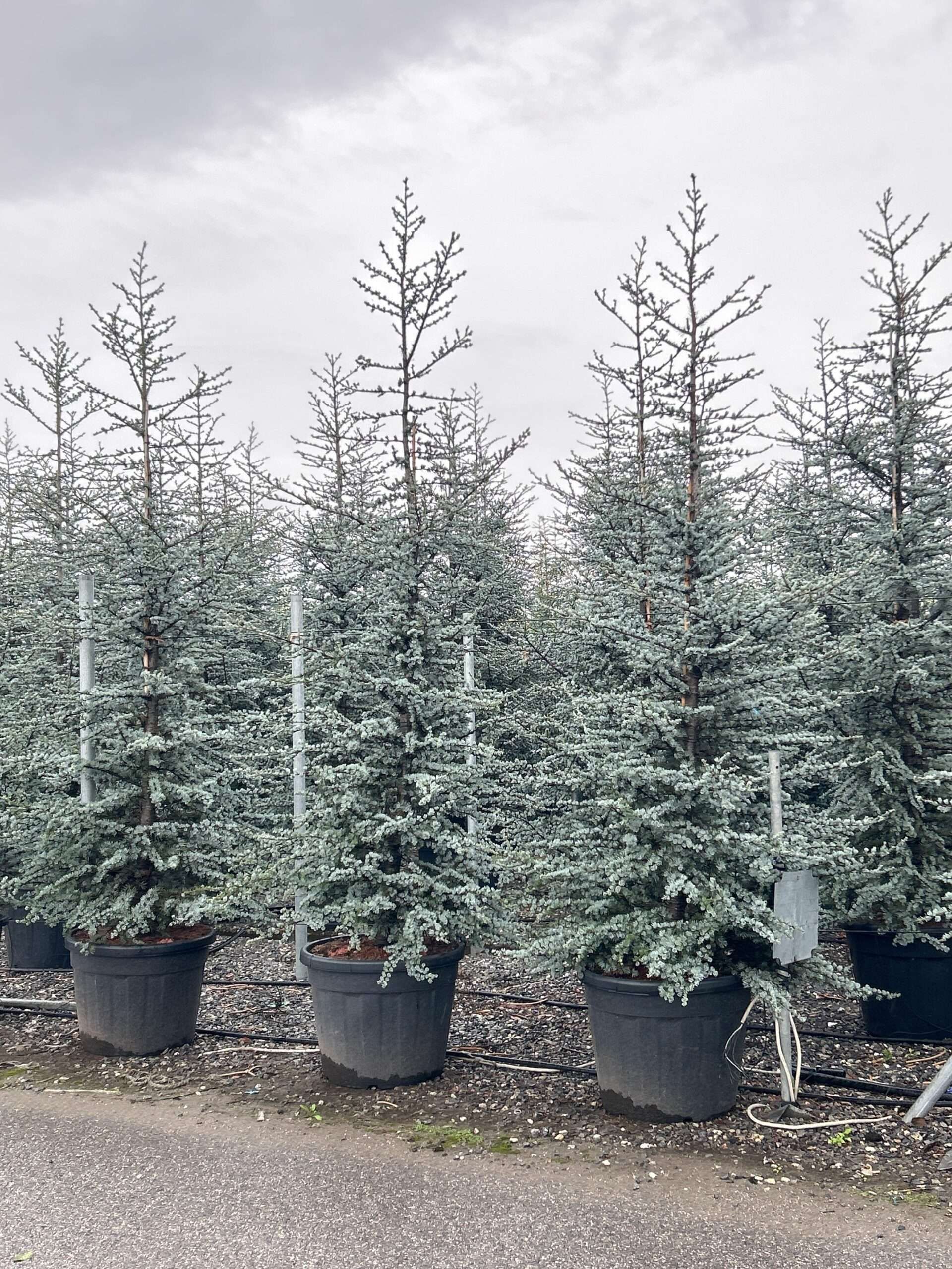 1698157419 scaled 3580753a