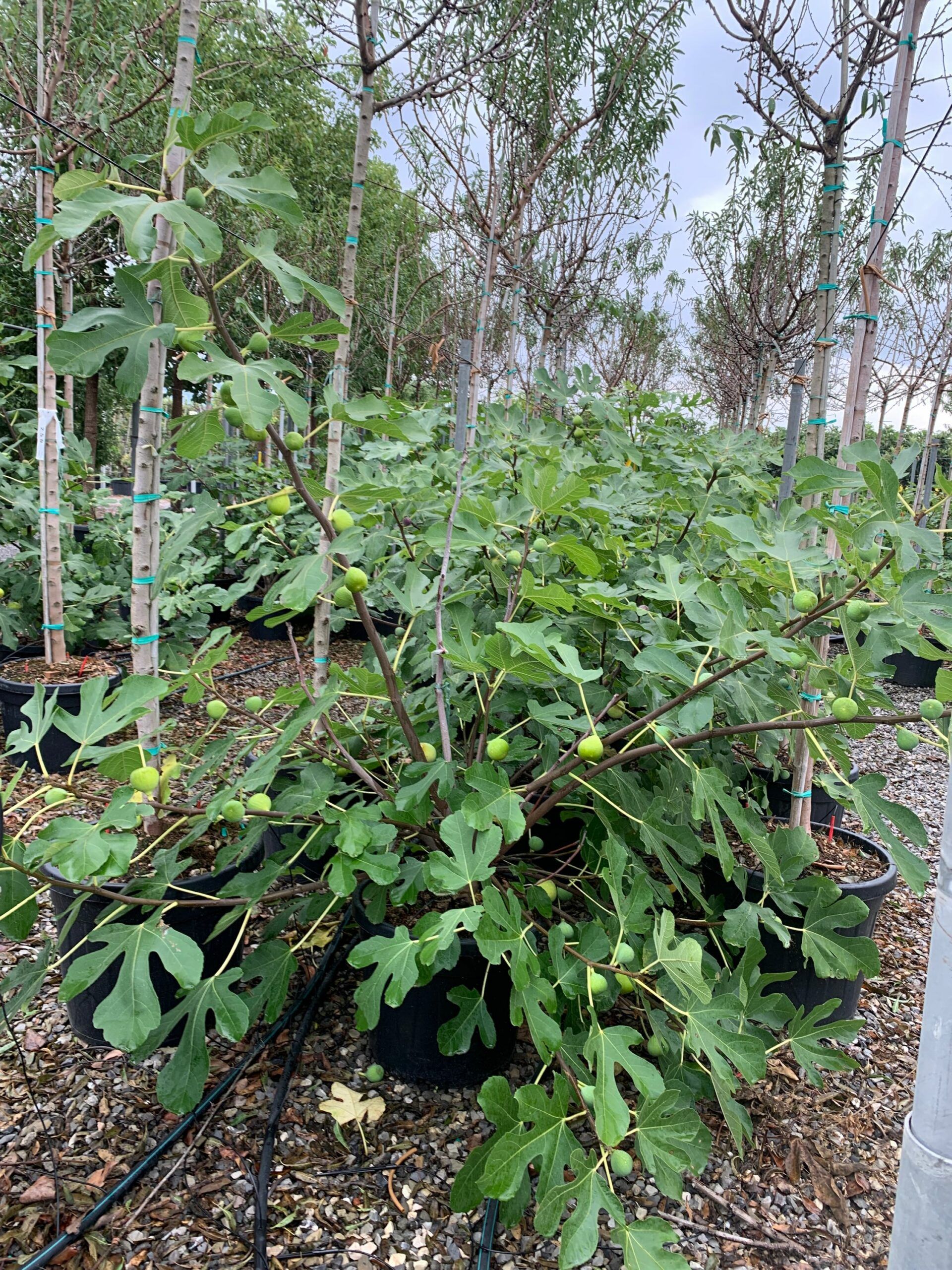 1633340540 scaled 365264d8