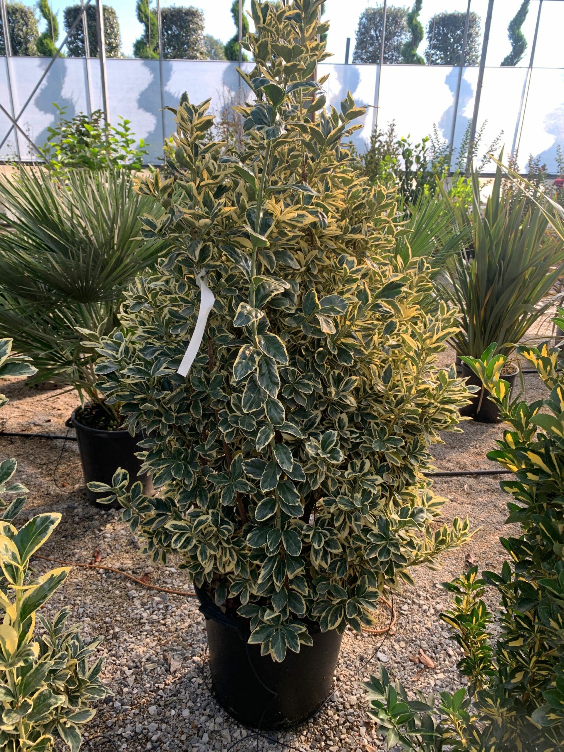 1634633083 scaled 36fe375a